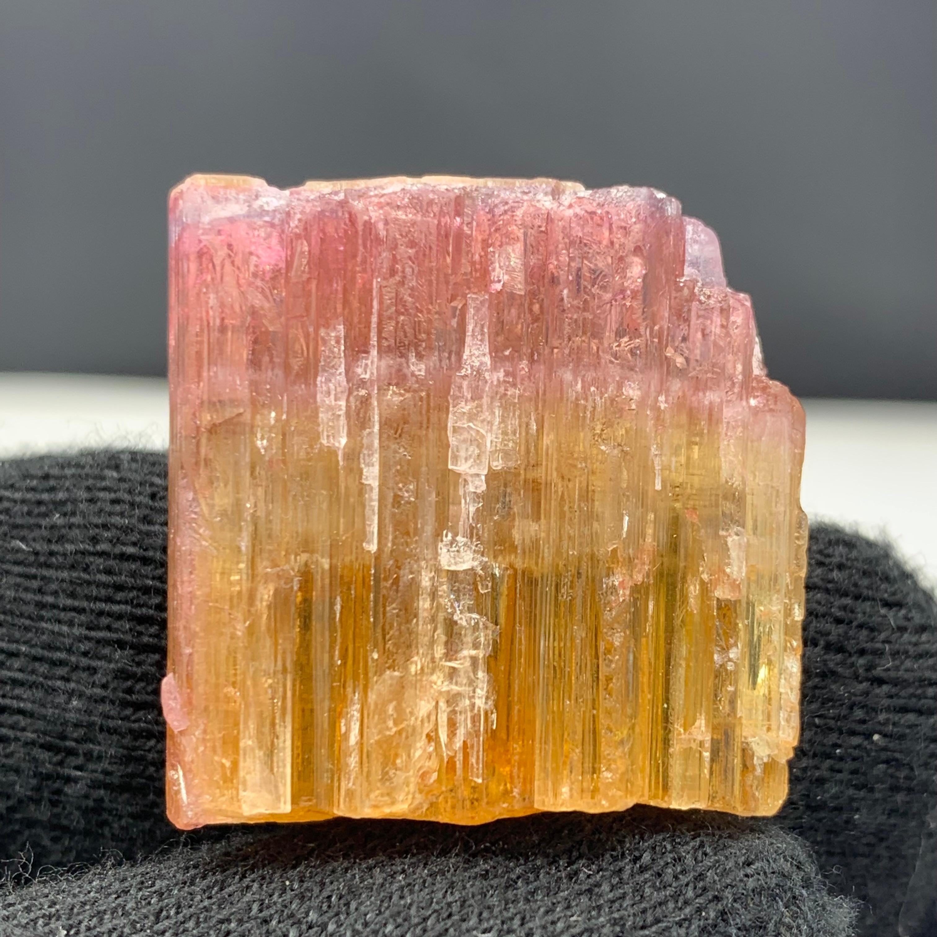 59.15 Carat Beautiful Bi Color Tourmaline Crystal From Paprook Mine, Afghanistan

Weight: 59.15 Carat 
Dimension: 2.6 x 2.6 x 0.9 Cm
Origin : Paprook Mine, Afghanistan 
Color: Pink and Orange 

Tourmaline is a crystalline silicate mineral group in