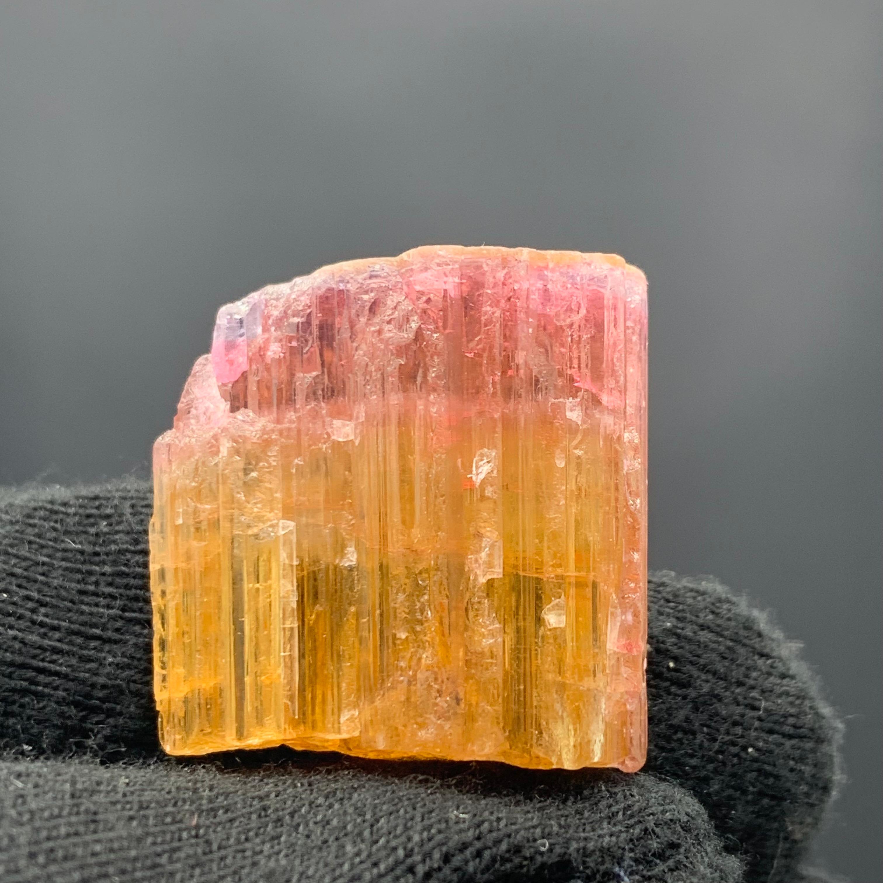 Other 59.15 Carat Beautiful Bi Color Tourmaline Crystal From Paprook Mine, Afghanistan For Sale
