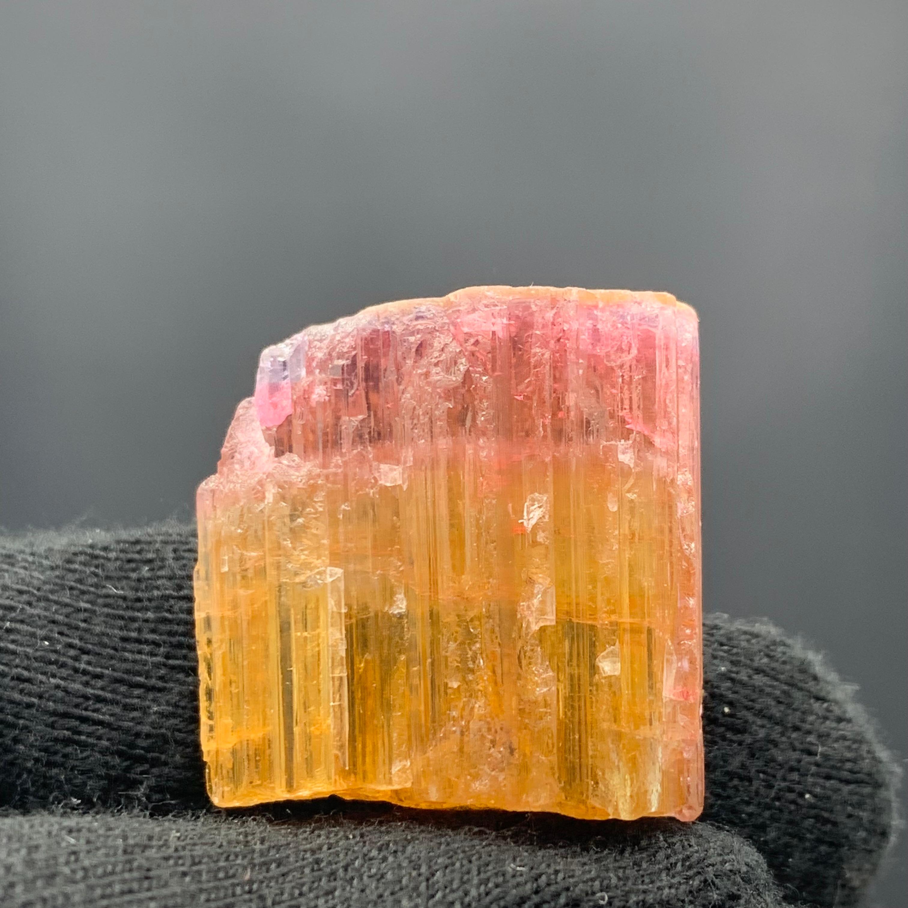 59.15 Carat Beautiful Bi Color Tourmaline Crystal From Paprook Mine, Afghanistan In Good Condition For Sale In Peshawar, PK