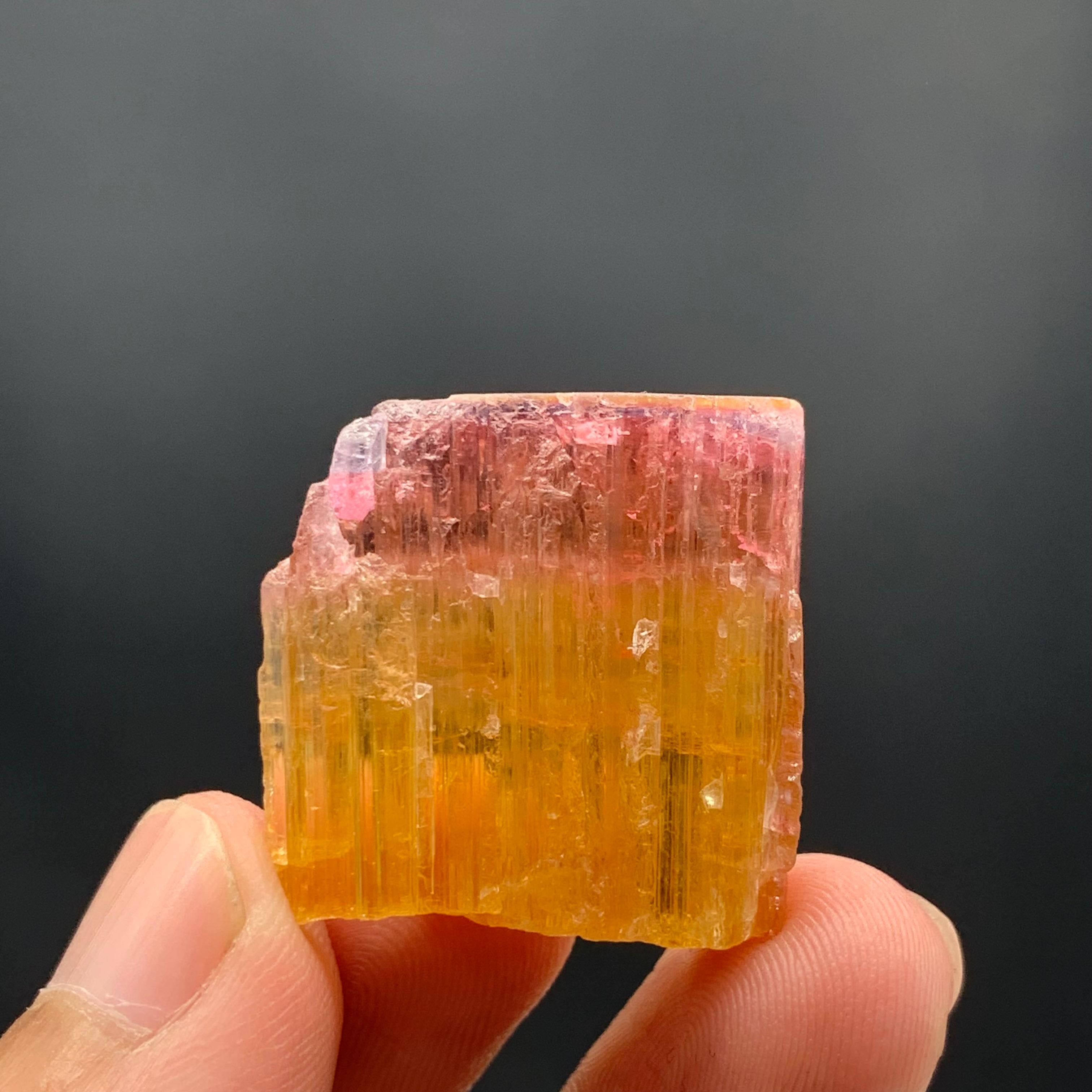 18th Century and Earlier 59.15 Carat Beautiful Bi Color Tourmaline Crystal From Paprook Mine, Afghanistan For Sale