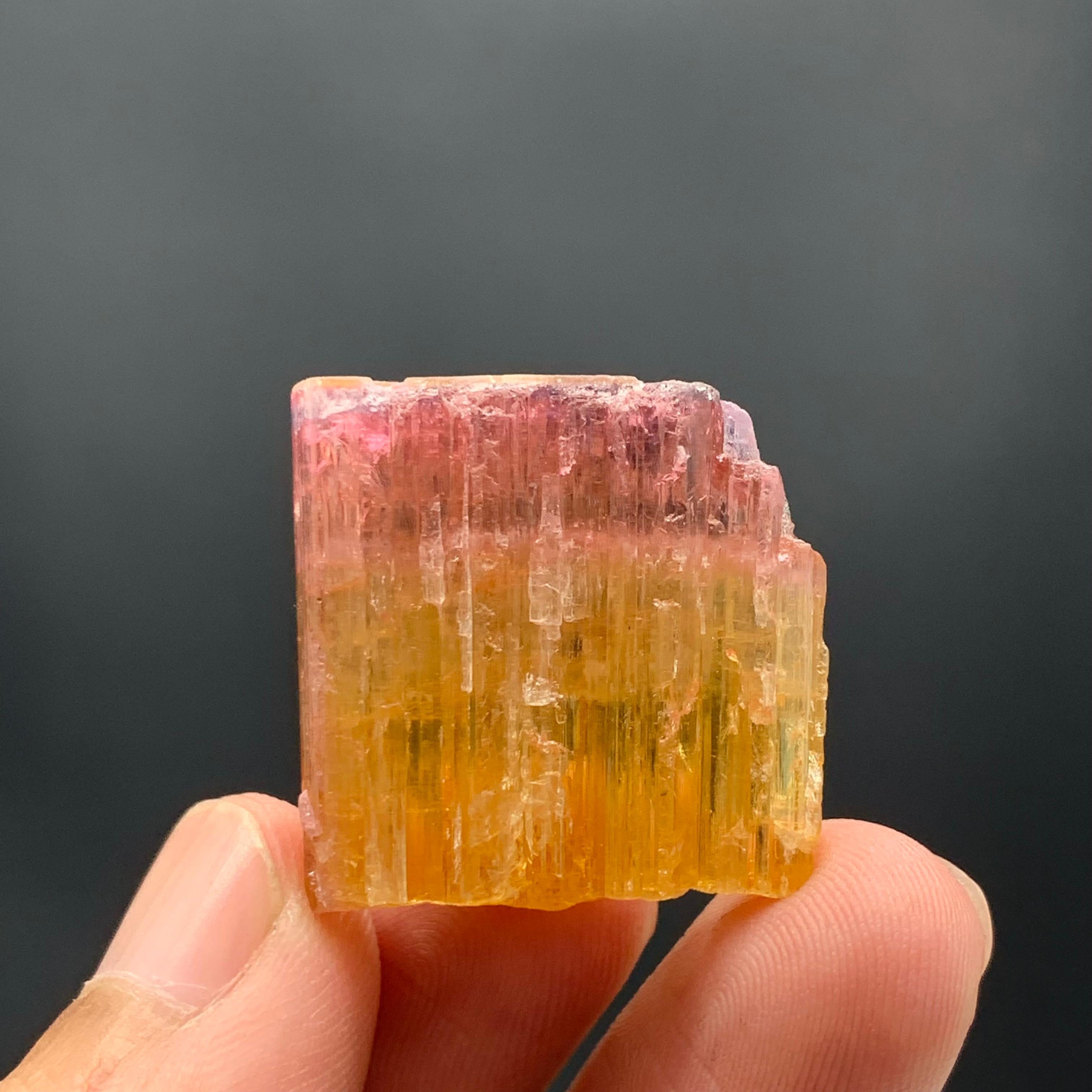 Rock Crystal 59.15 Carat Beautiful Bi Color Tourmaline Crystal From Paprook Mine, Afghanistan For Sale