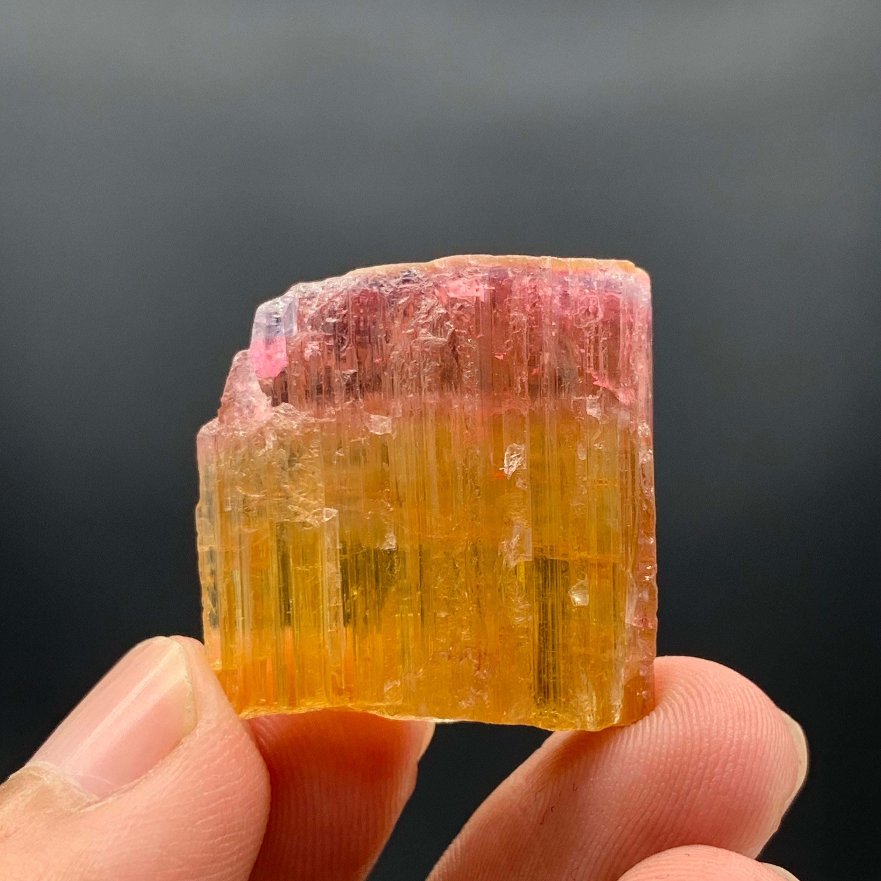 59.15 Carat Beautiful Bi Color Tourmaline Crystal From Paprook Mine, Afghanistan For Sale 1