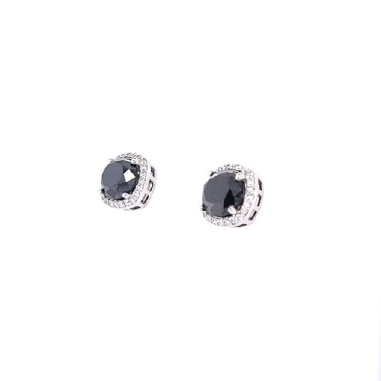 Contemporary 5.92 Carat Black Diamond White Diamond 14 Karat White Gold Stud Earrings For Sale