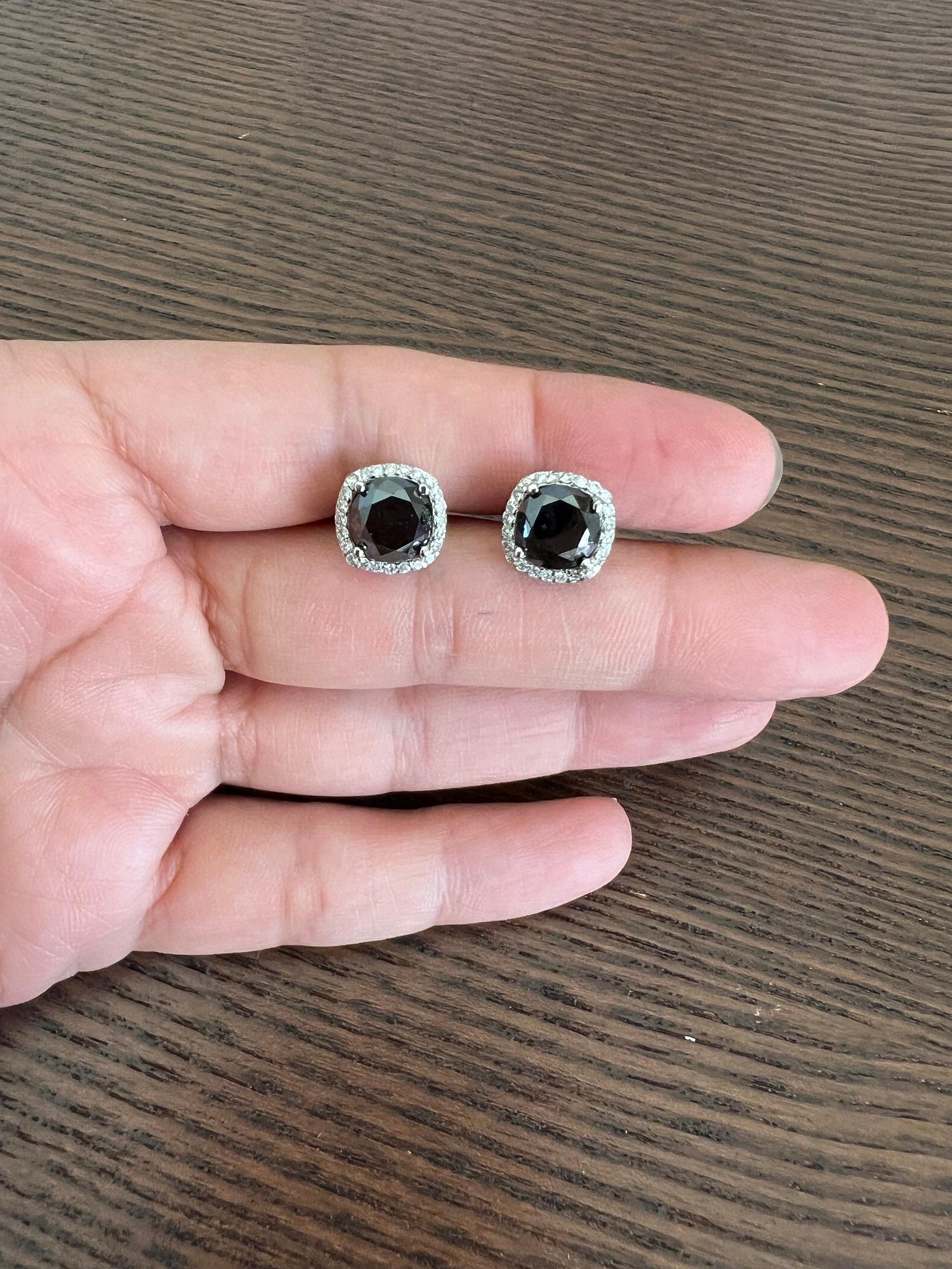 5.92 Carat Black Diamond White Diamond 14 Karat White Gold Stud Earrings For Sale 1