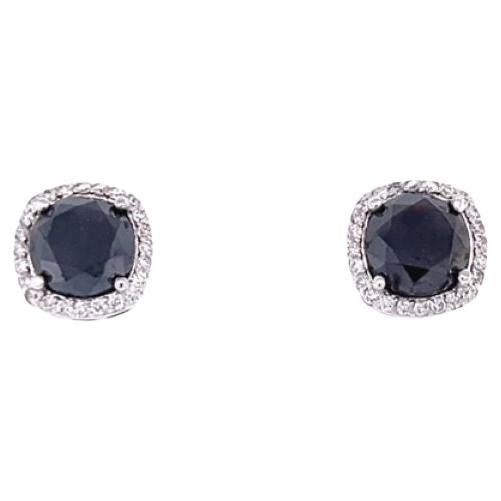 5.92 Carat Black Diamond White Diamond 14 Karat White Gold Stud Earrings