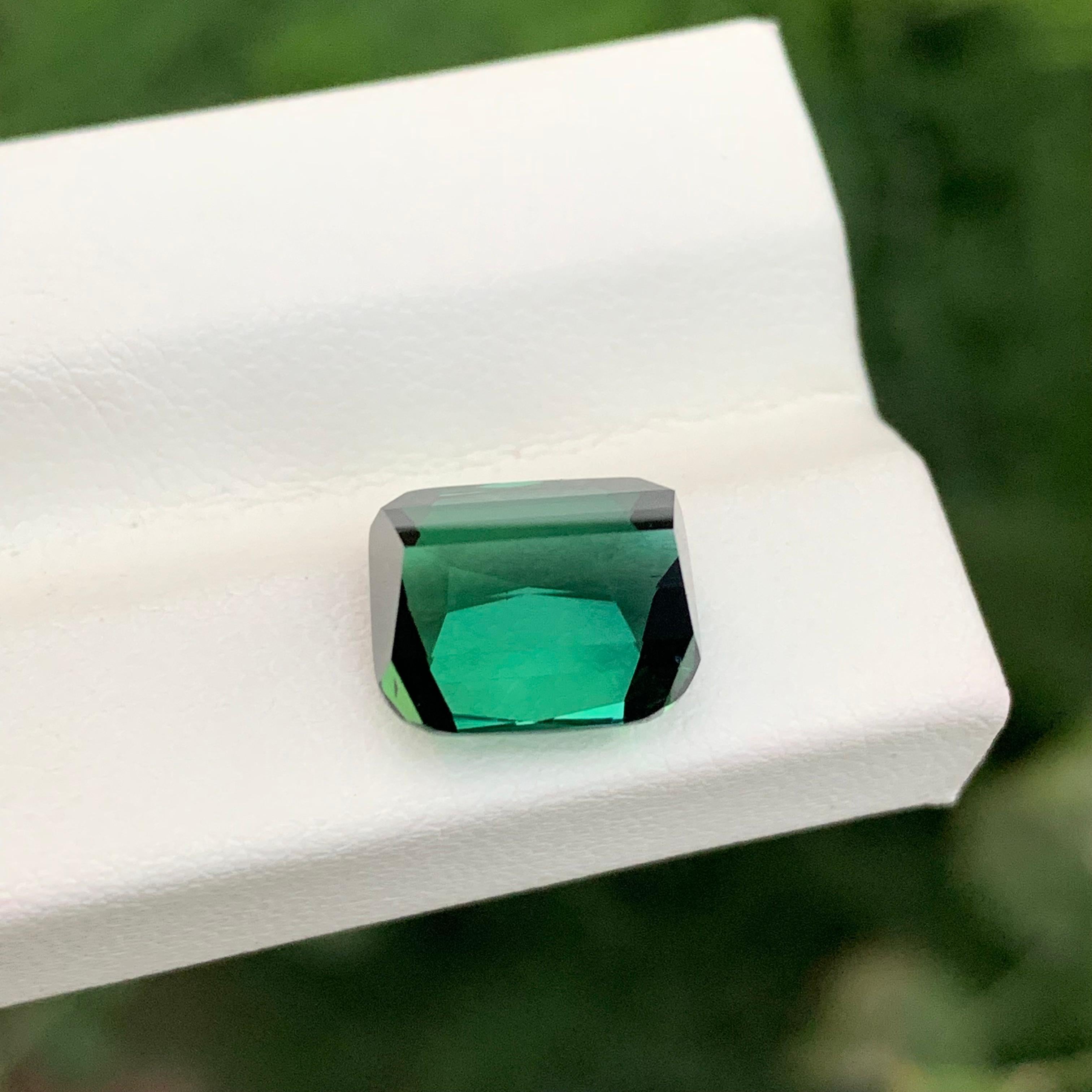 5.95 Carat Natural Loose Green Tourmaline Cushion Shape Gem en vente 6