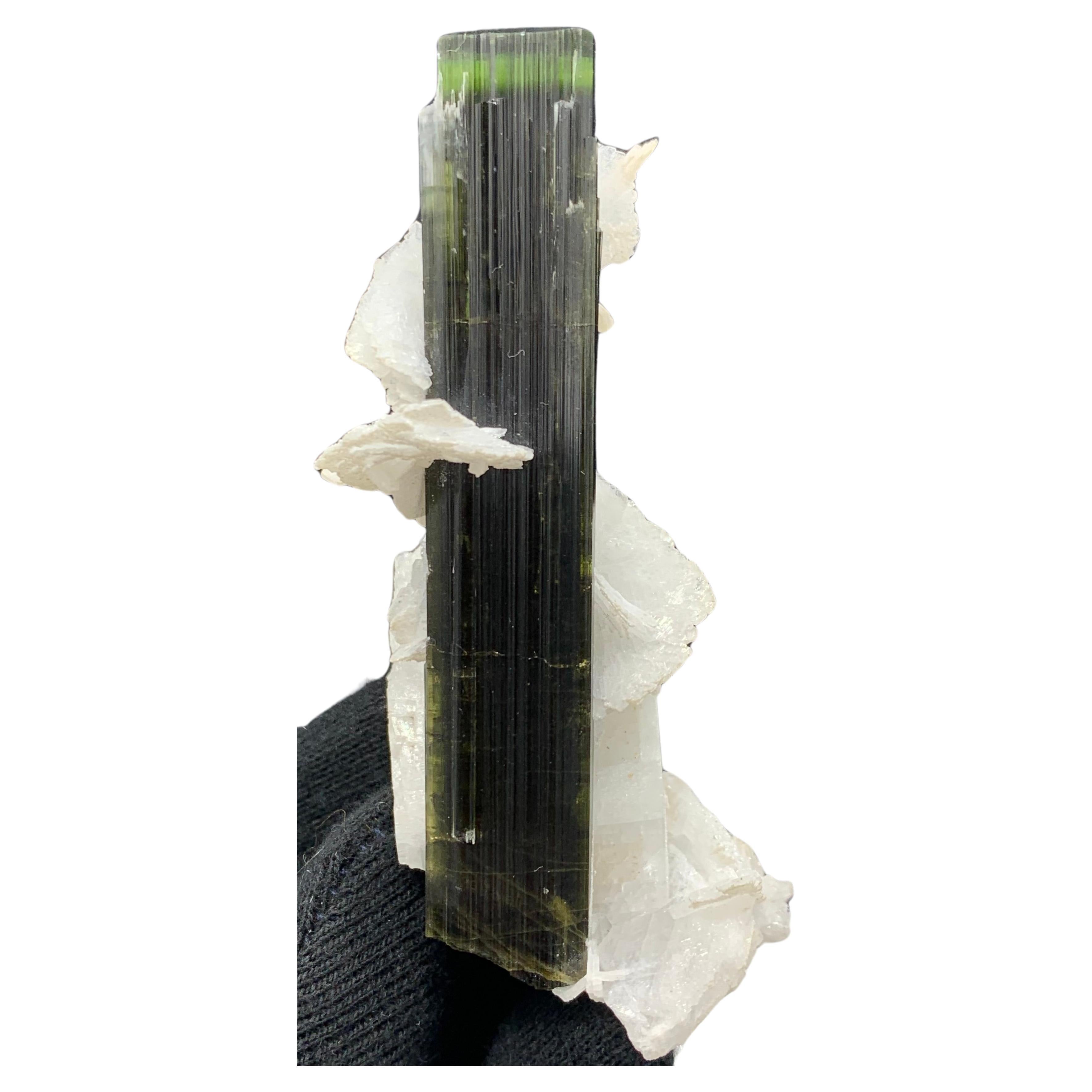 Tourmaline de 59,55 grammes avec spécimen d'albâtre de Stak Nala, Skardu, Pakistan 