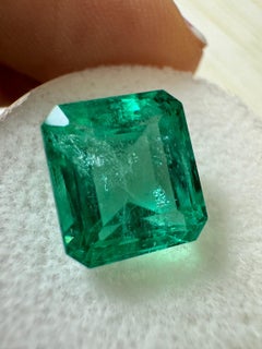 5.98 Carat 10x9 Crystal Clean Green Colombian Emerald - Emerald Cut May