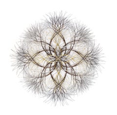 59"x59" Metal Wall Sculpture in Brass, Stainless, and Bronze #651. Available Now