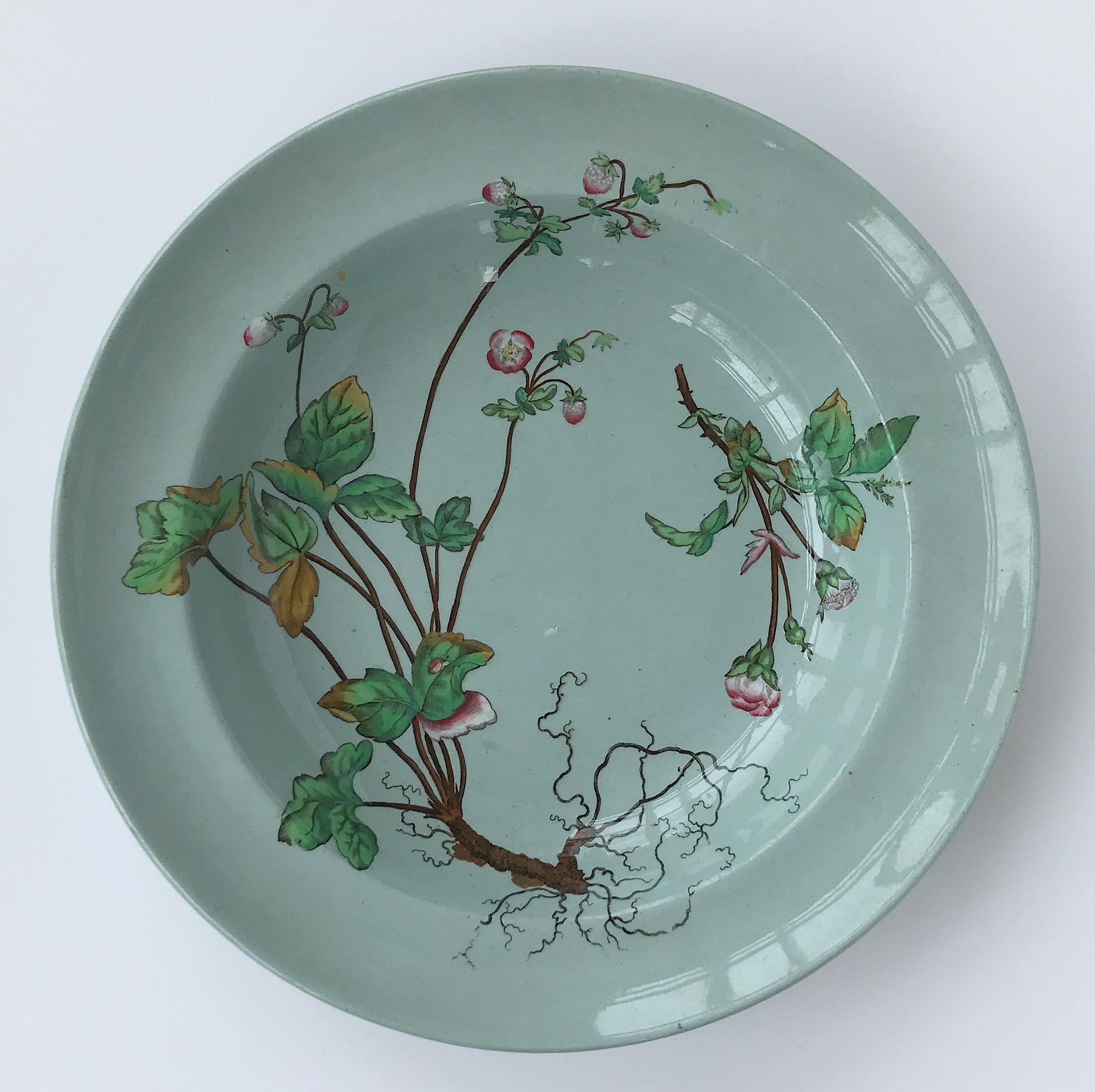 English 6 19th Century Minton Celadon Aesthetic Movement Botanical Soup Bowls circa 1878
