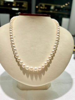 Akoya-Perle mit Fischhakenverschluss aus 14k Gelbgold mit Akoya-Perlen