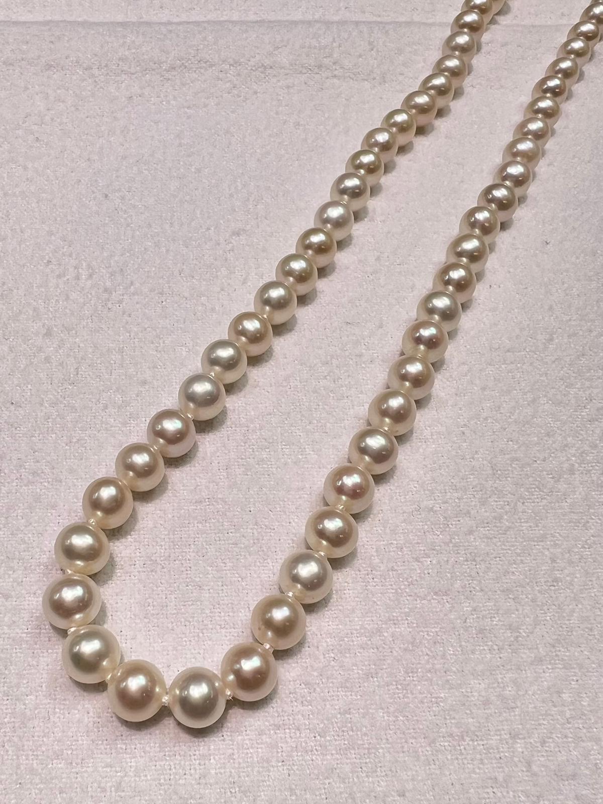 fish hook clasp pearl necklace