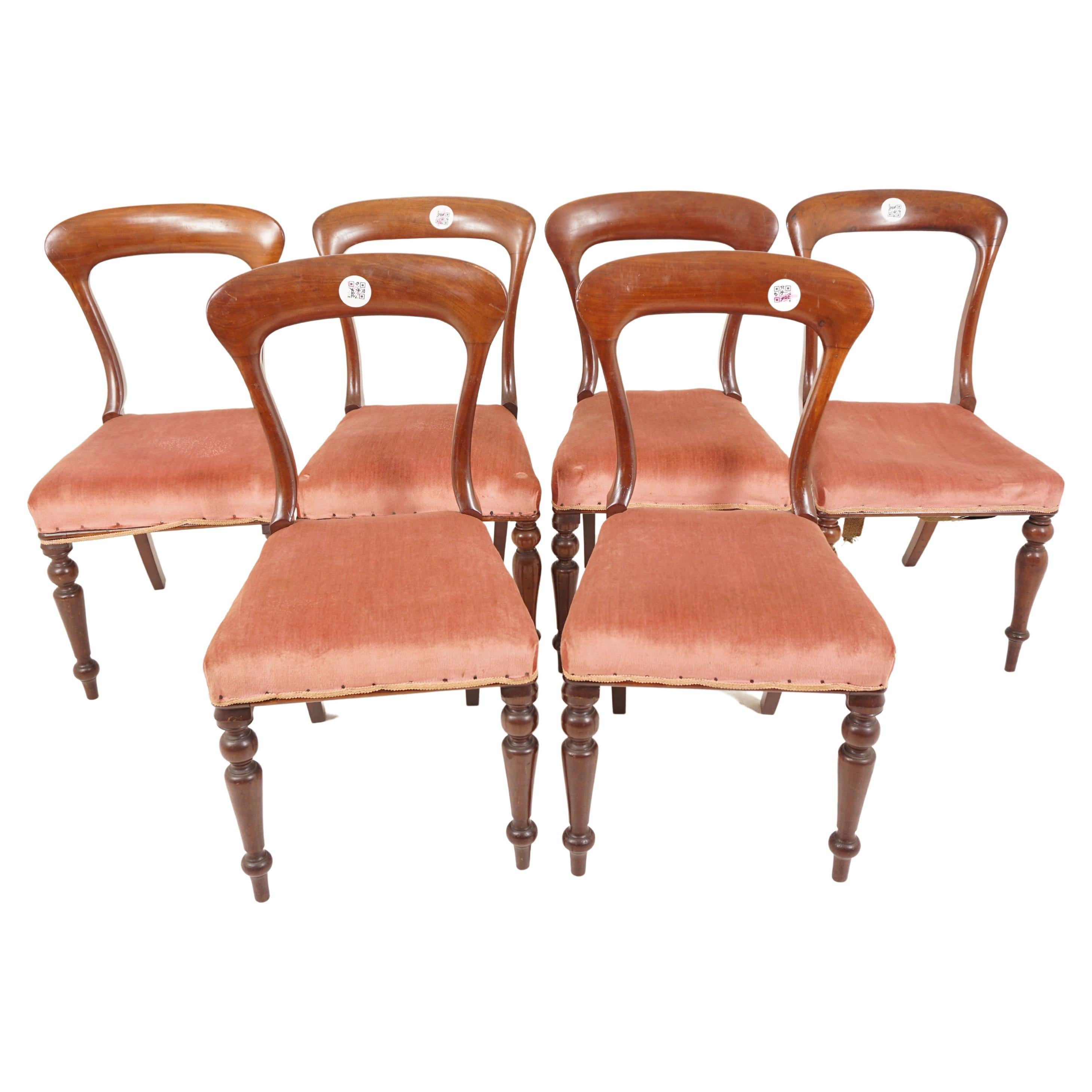 6 Antique Victorian Dining Chairs, John Taylor + Sons, Scotland 1870, H62  For Sale at 1stDibs