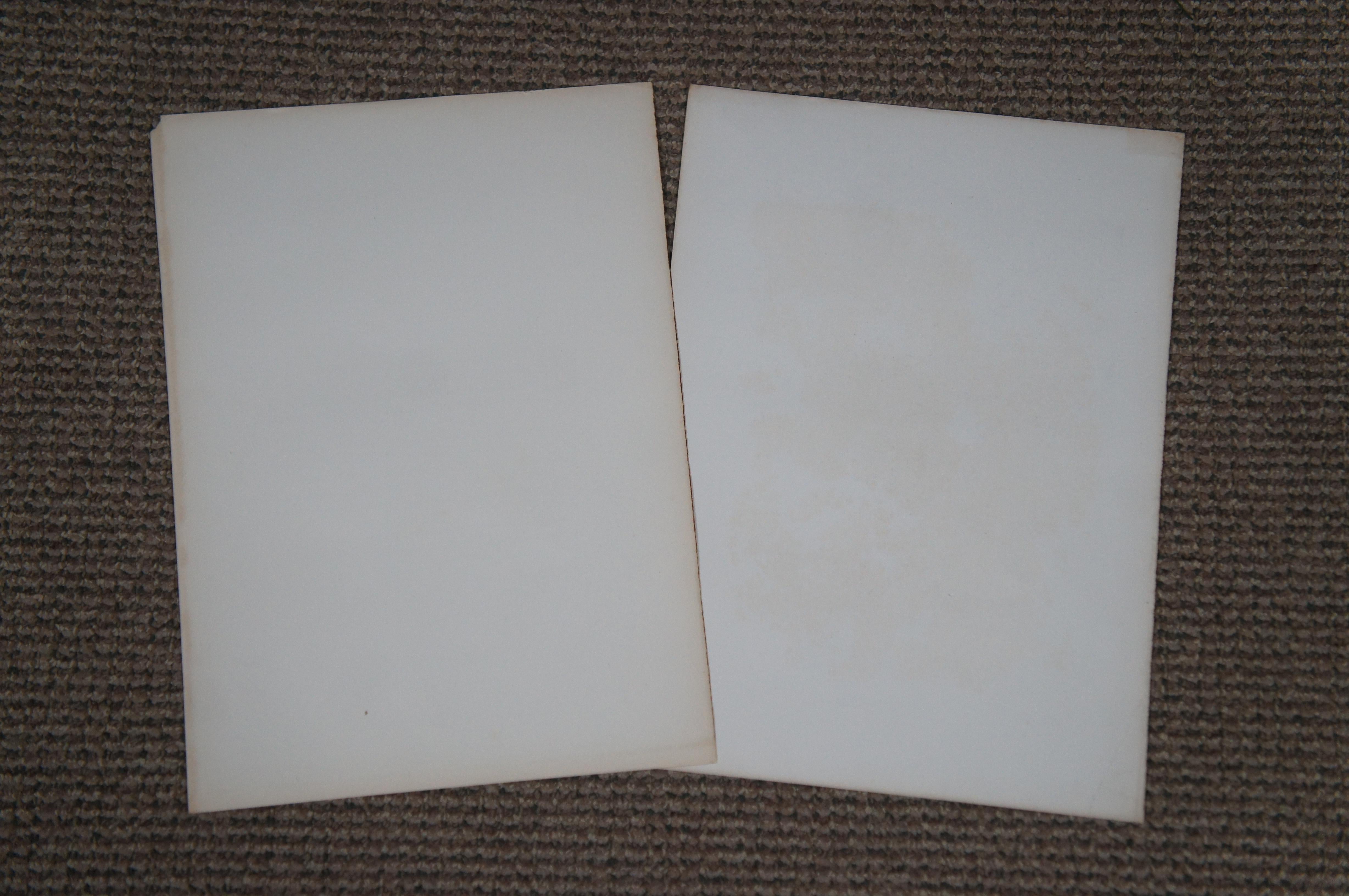 6 antike Virtue & Co Sir Edwin Landseer Hirsch-Hunde- Jagd-Gravurdrucke 14