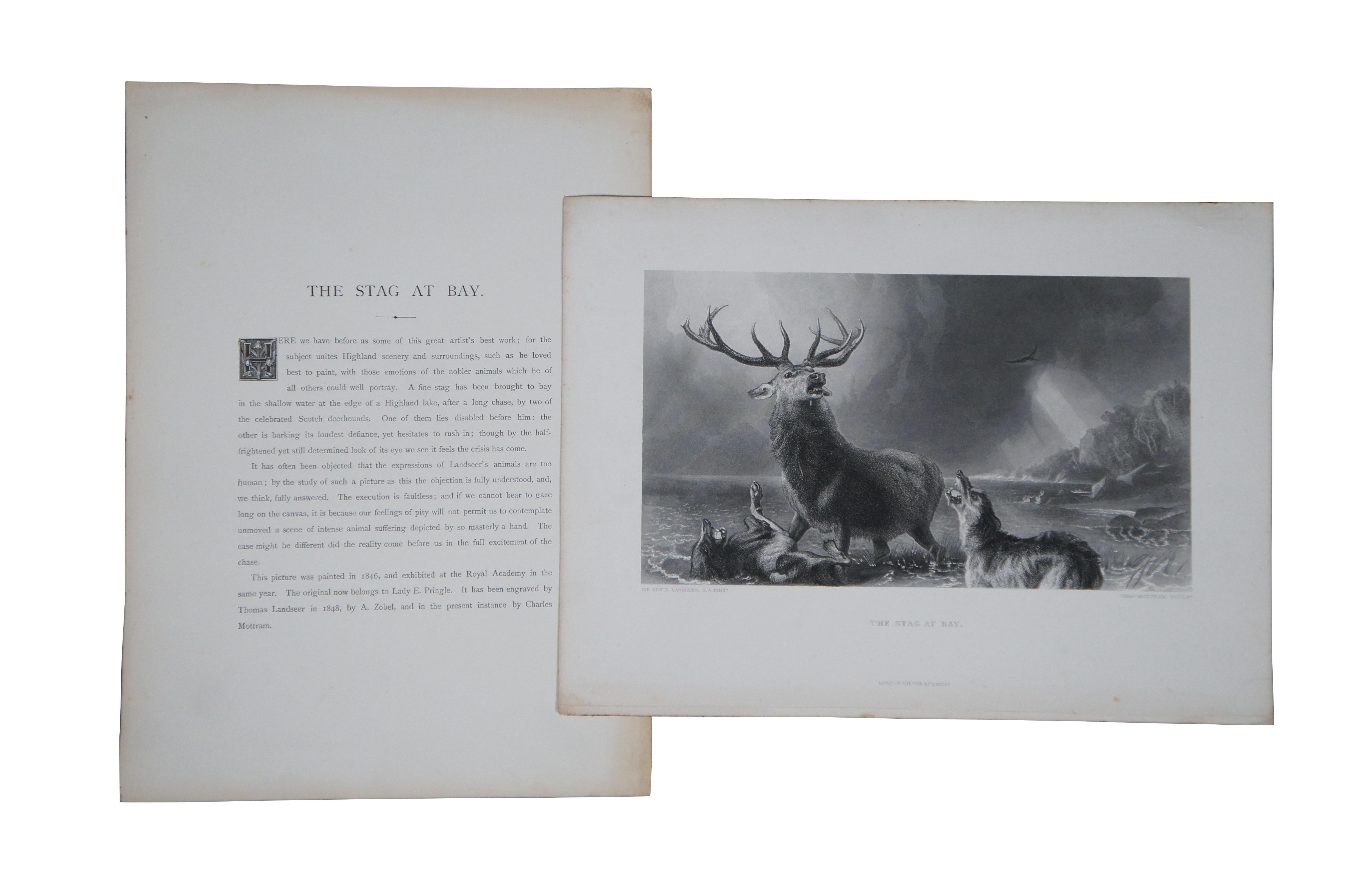 6 antike Virtue & Co Sir Edwin Landseer Hirsch-Hunde- Jagd-Gravurdrucke 14