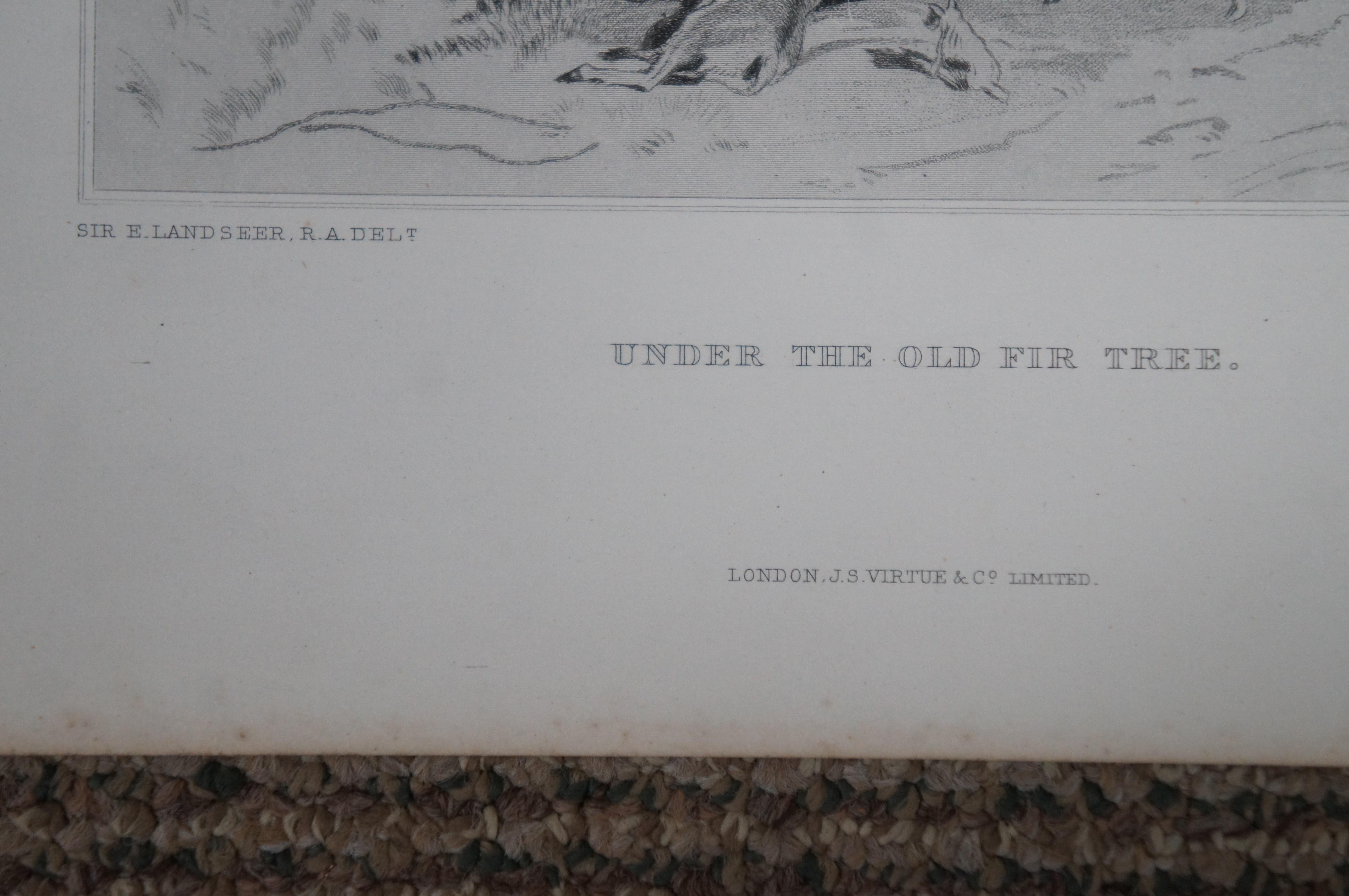 6 antike Virtue & Co Sir Edwin Landseer Hirsch-Hunde- Jagd-Gravurdrucke 14