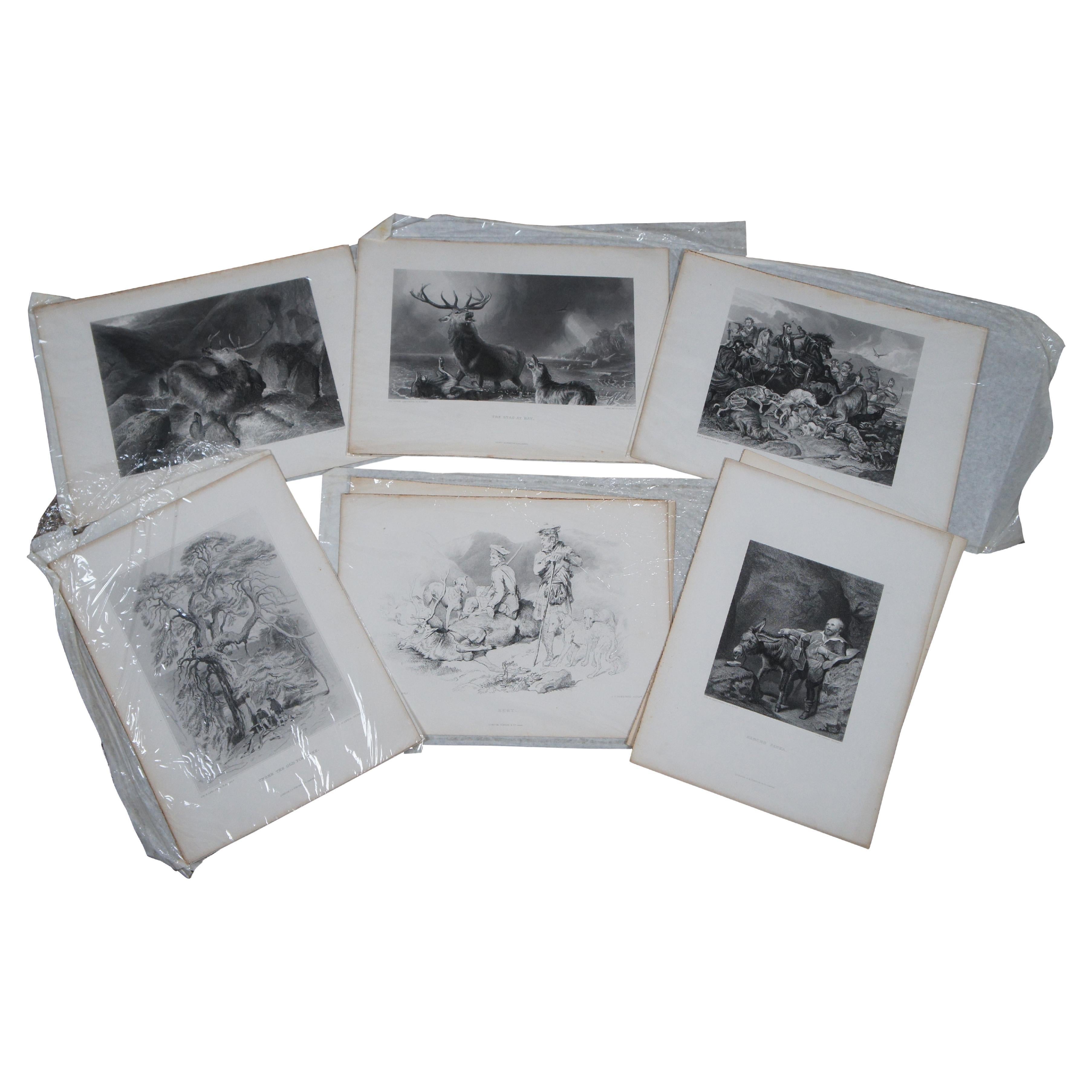6 Stampe antiche Virtue & Co Sir Edwin Landseer Caccia al cane da caccia 14"