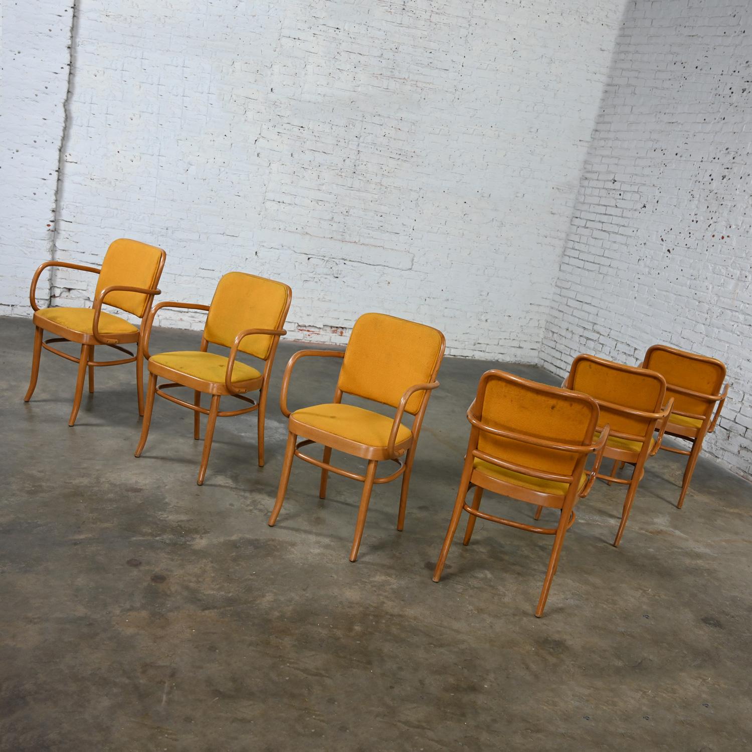 6 chaises de salle à manger Bauhaus en hêtre courbé J Hoffman Prague 811 style Thonet en vente 11
