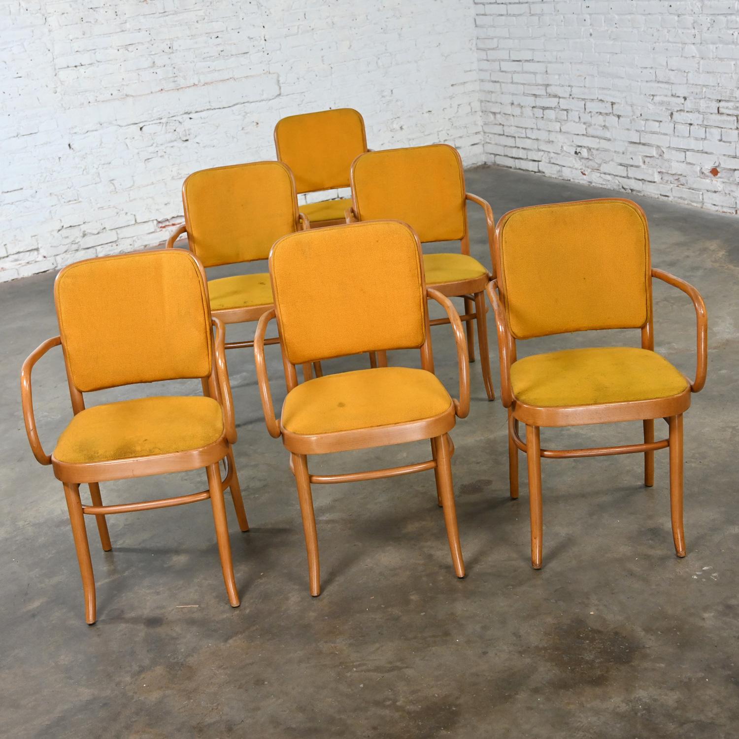 Wonderful vintage Bauhaus beech bentwood frame Thonet Josef Hoffman Prague 811 style armed dining chairs by Falcon Products Inc., Set of 6. Beautiful condition, keeping in mind that these are vintage and not new so will have signs of use and wear