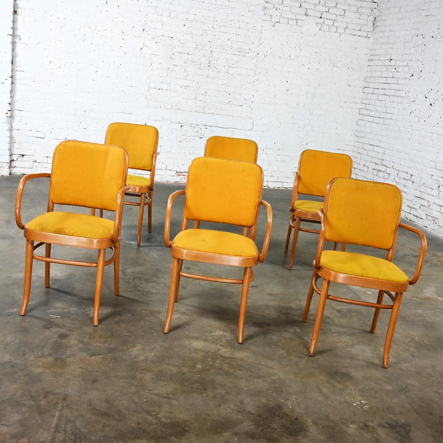 Macédonien 6 chaises de salle à manger Bauhaus en hêtre courbé J Hoffman Prague 811 style Thonet en vente