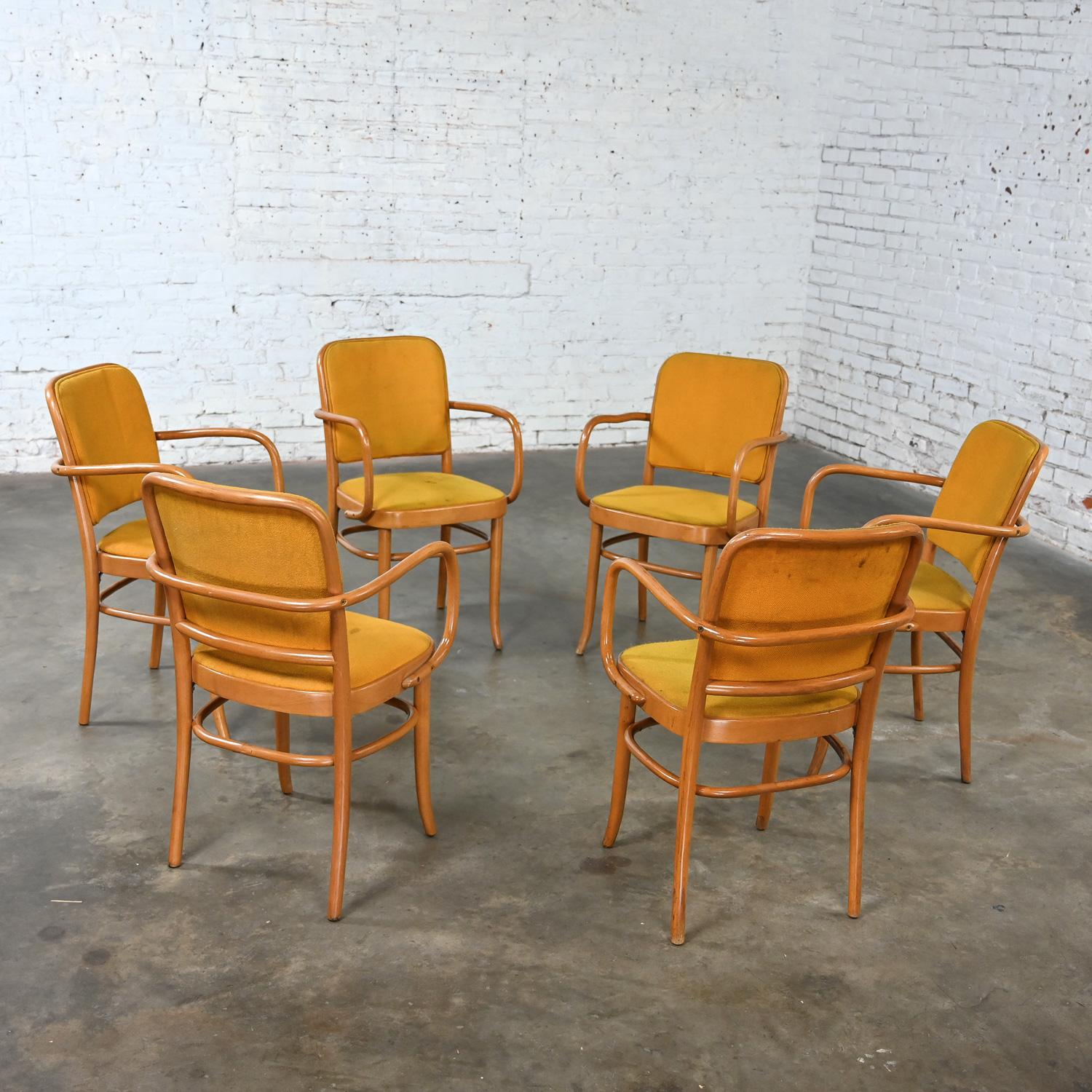 6 gebogene Bauhaus-Esszimmerstühle aus Buche und Bugholz J Hoffman Prag 811 im Stil Thonet (20. Jahrhundert) im Angebot
