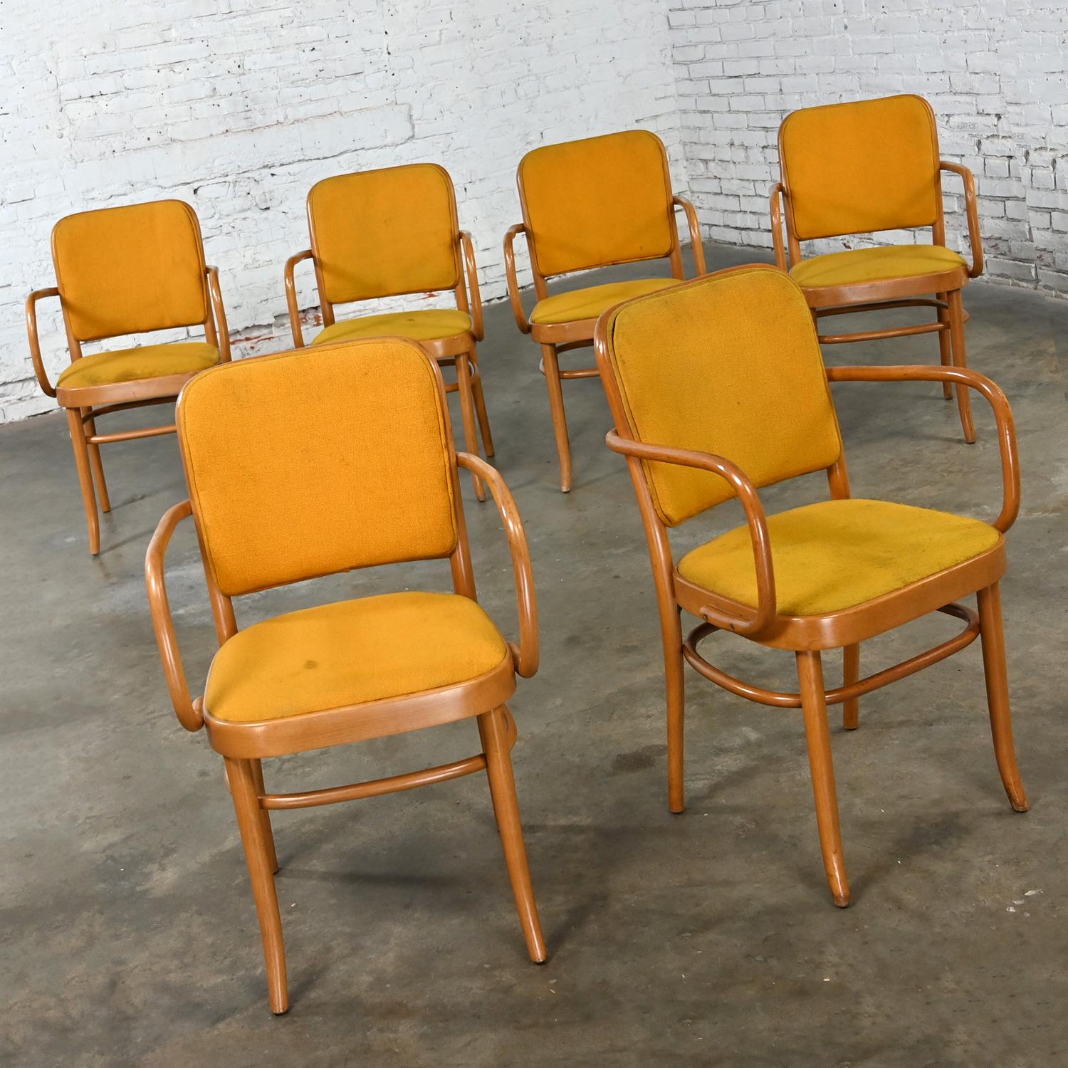 Tissu 6 chaises de salle à manger Bauhaus en hêtre courbé J Hoffman Prague 811 style Thonet en vente