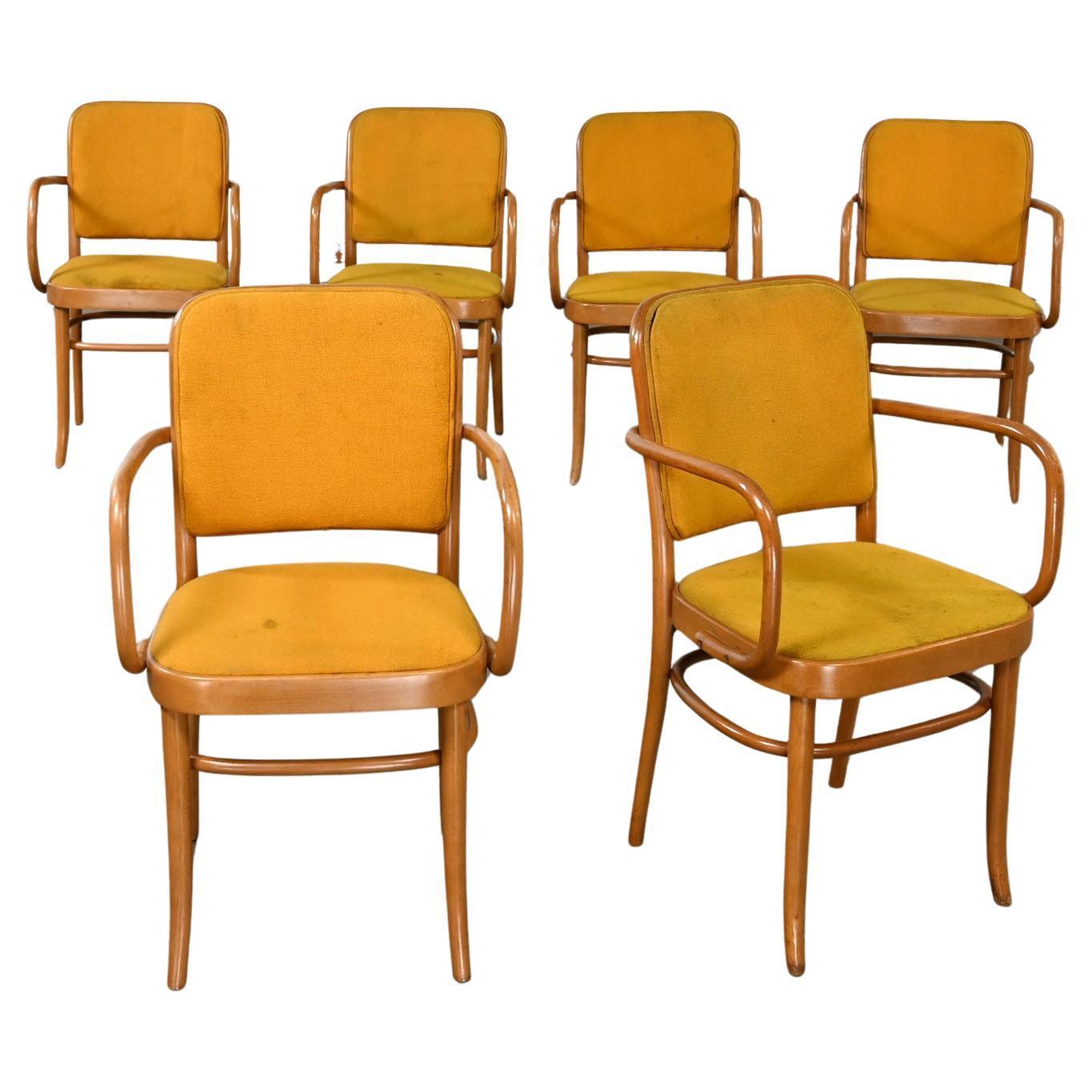 6 Armed Bauhaus Beech Bentwood J Hoffman Prague 811 Dining Chairs Style Thonet For Sale
