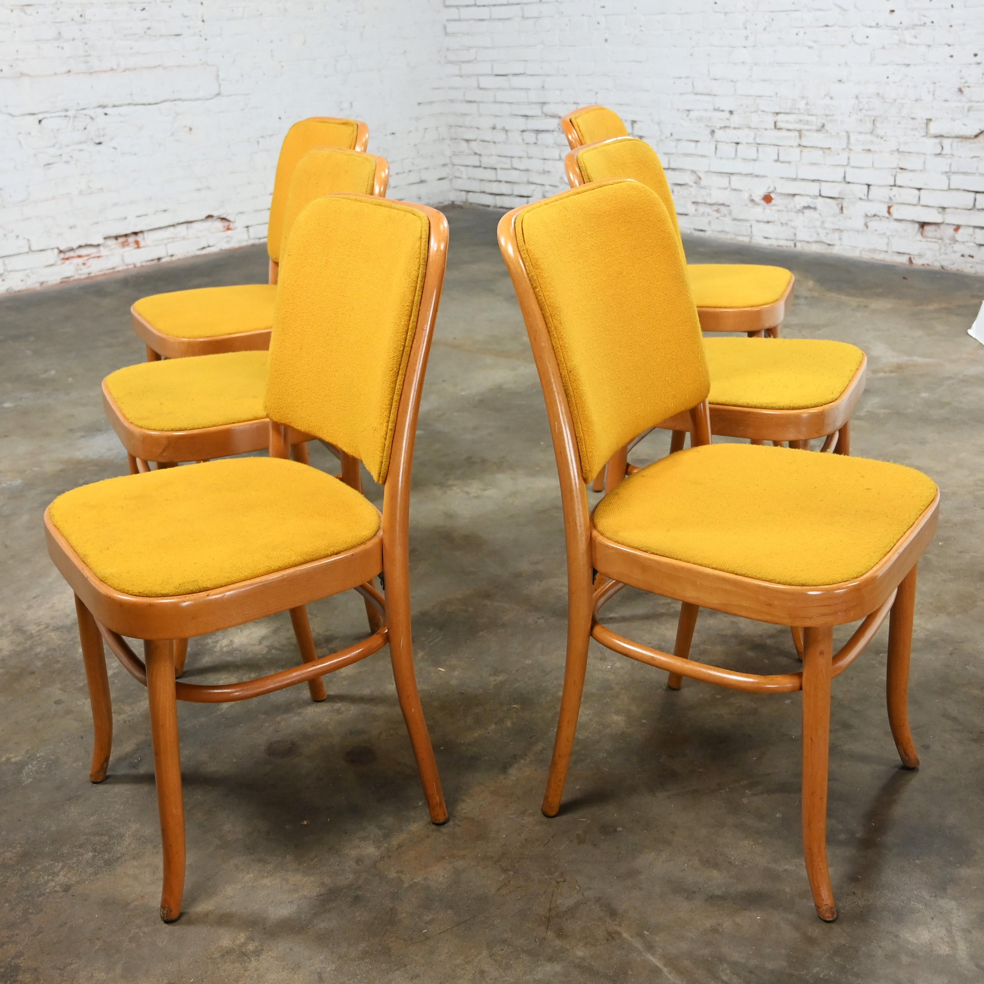 6 Armless Bauhaus Beech Bentwood Hoffman Prague 811 Dining Chairs Style Thonet For Sale 4