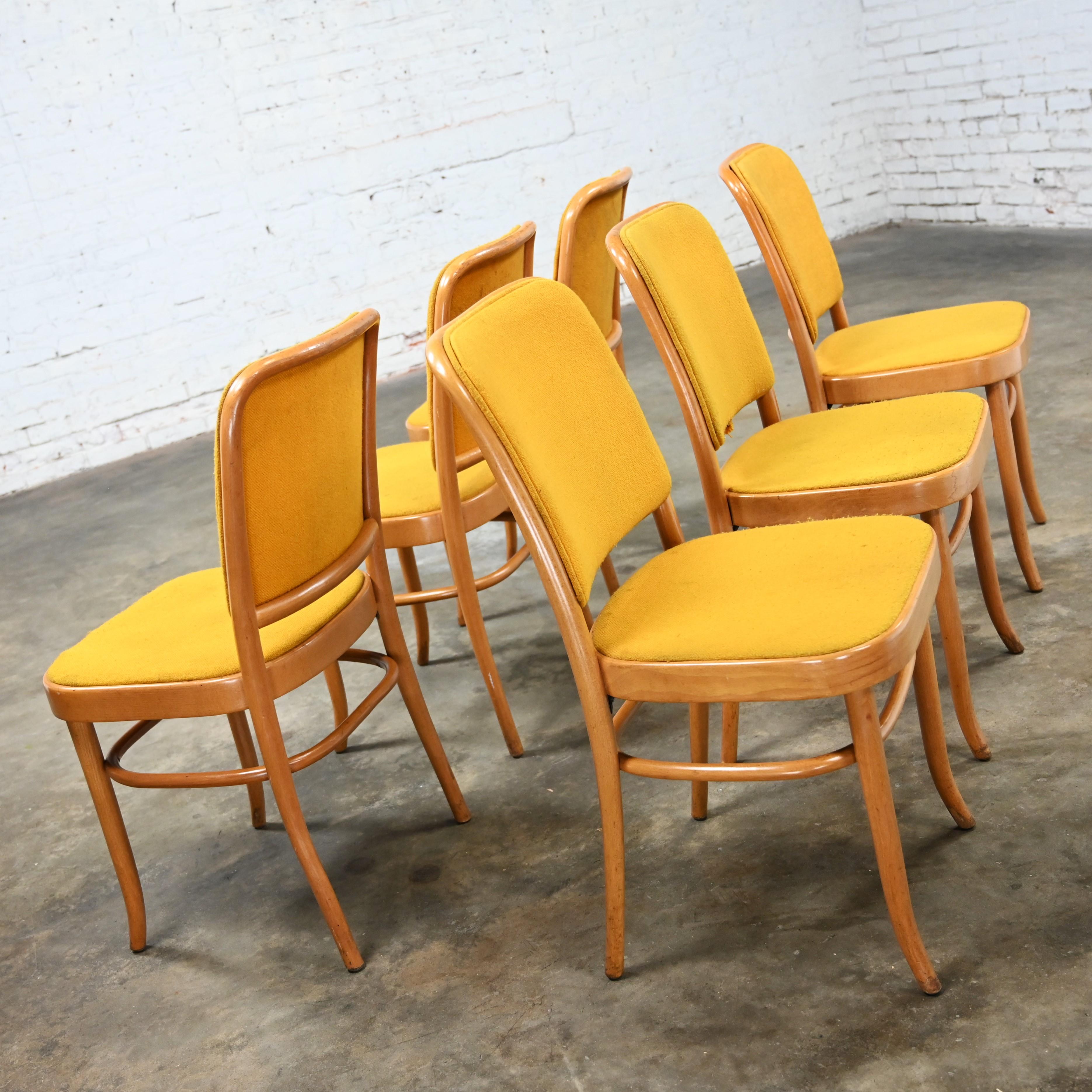 Merveilleuses chaises de salle à manger sans accoudoirs en hêtre courbé de style Thonet Josef Hoffman Prague 811 par Falcon Products Inc, ensemble de 6. Très bon état, en gardant à l'esprit qu'il s'agit de chaises vintage et non pas neuves et