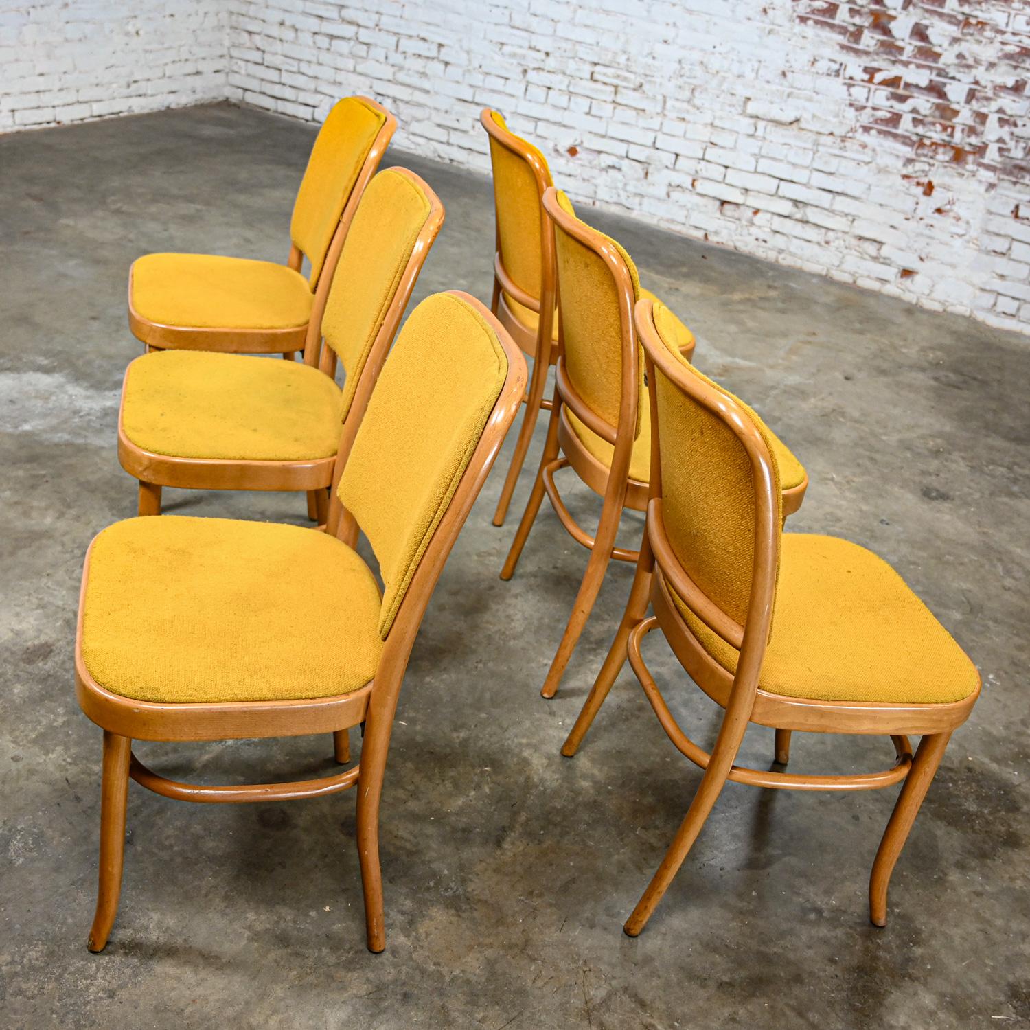 6 armlose Bauhaus-Esszimmerstühle aus Buche und Bugholz Hoffman Prag 811 im Stil Thonet (Mazedonisch) im Angebot