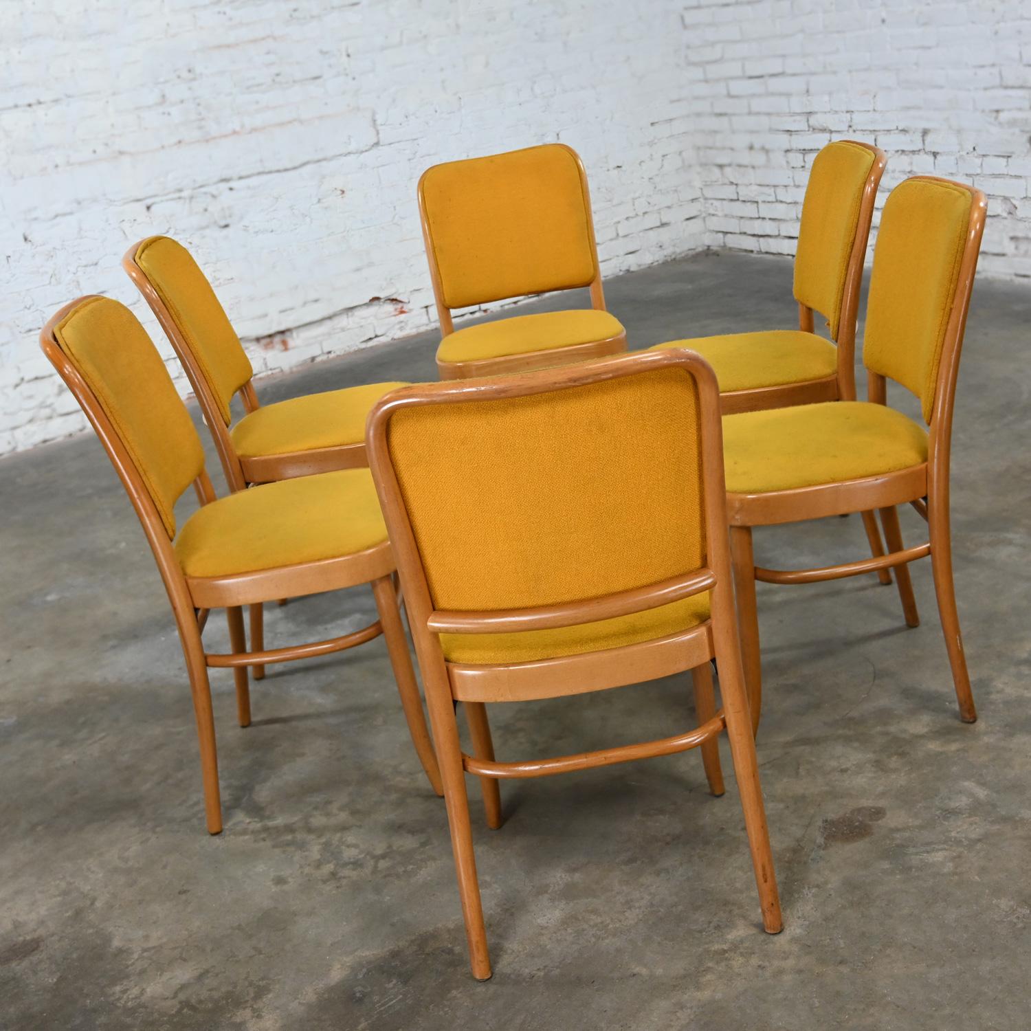 6 Armless Bauhaus Beech Bentwood Hoffman Prague 811 Dining Chairs Style Thonet In Good Condition For Sale In Topeka, KS
