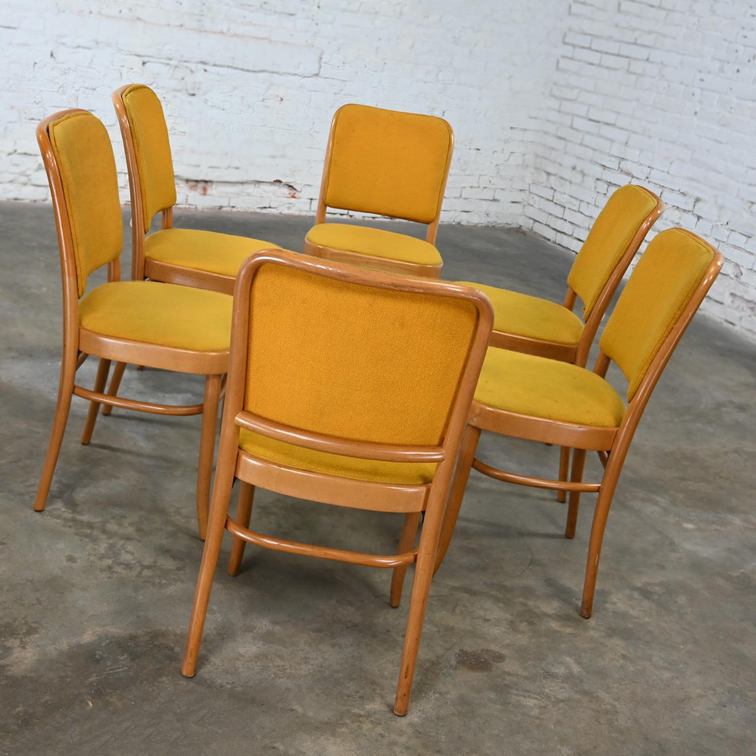 20th Century 6 Armless Bauhaus Beech Bentwood Hoffman Prague 811 Dining Chairs Style Thonet For Sale