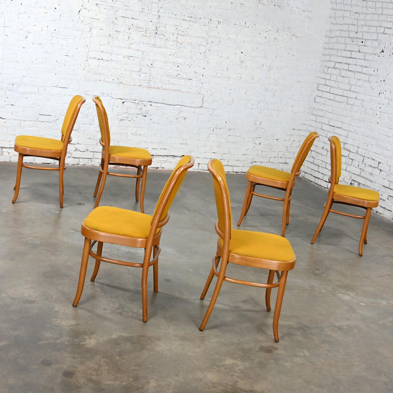 6 Armless Bauhaus Beech Bentwood Hoffman Prague 811 Dining Chairs Style Thonet For Sale 1