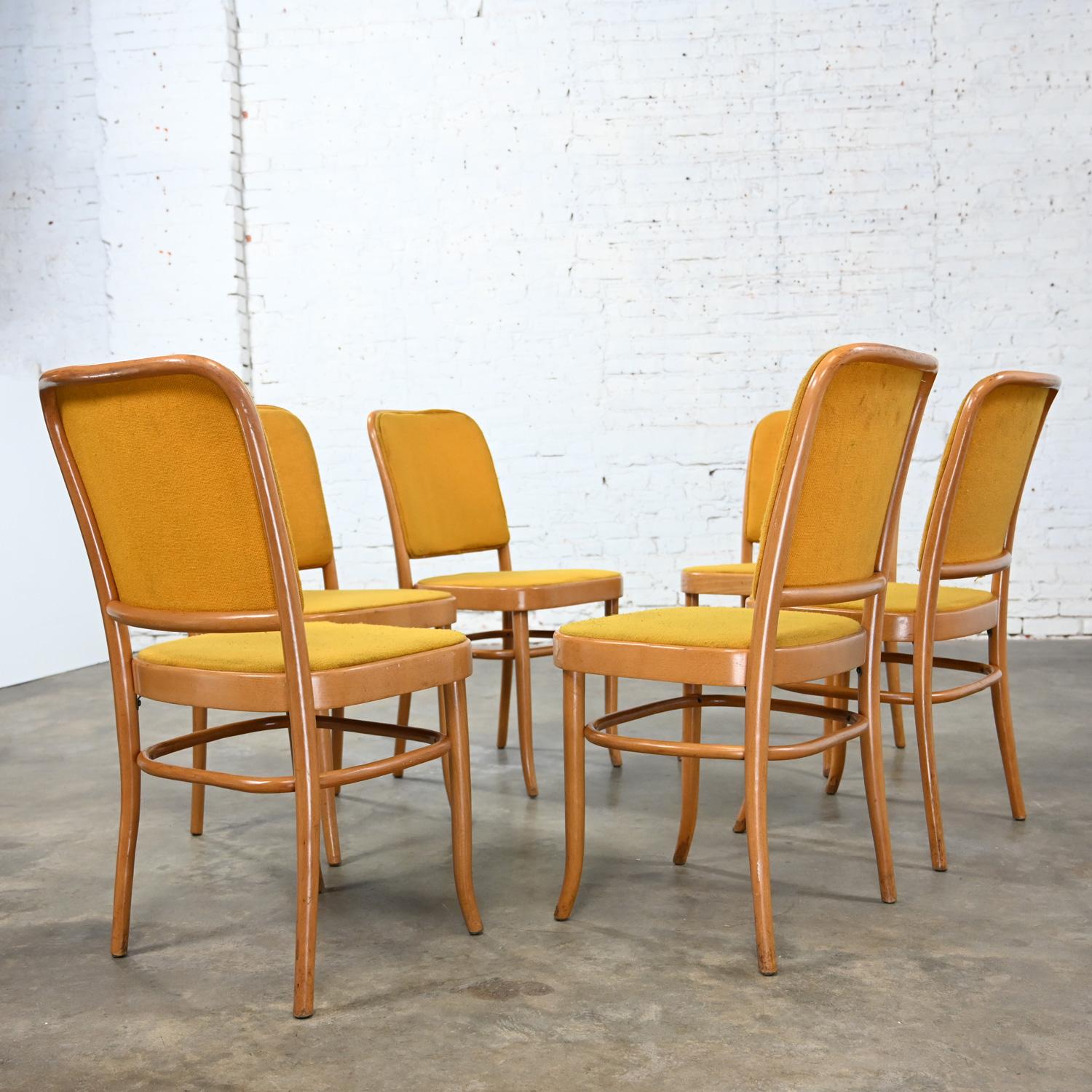 6 Armless Bauhaus Beech Bentwood Hoffman Prague 811 Dining Chairs Style Thonet For Sale 2