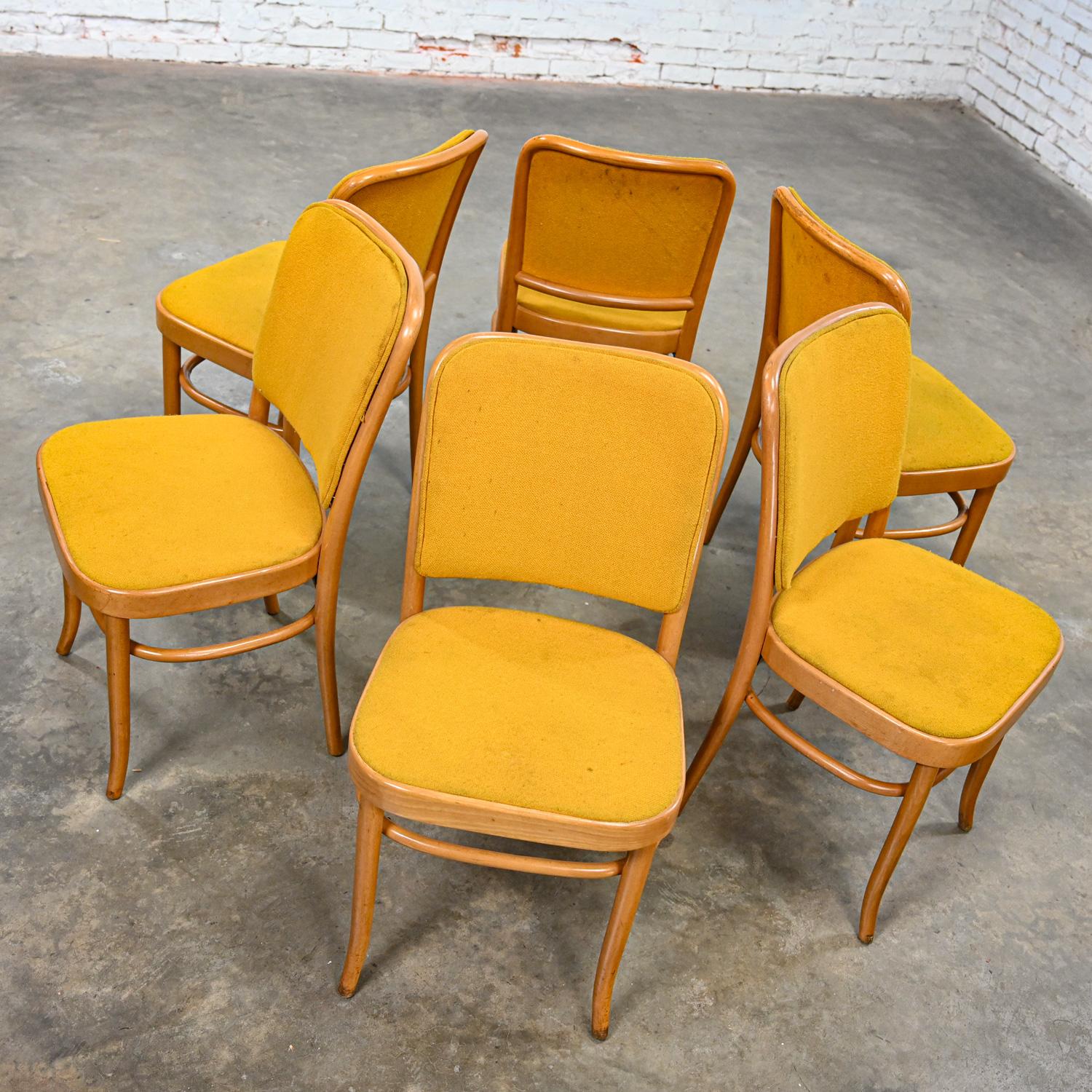6 Armless Bauhaus Beech Bentwood Hoffman Prague 811 Dining Chairs Style Thonet For Sale 3