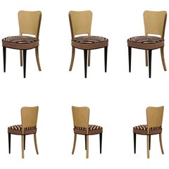6 Art Deco Goatskin and Brass Italian Chairs, 1940