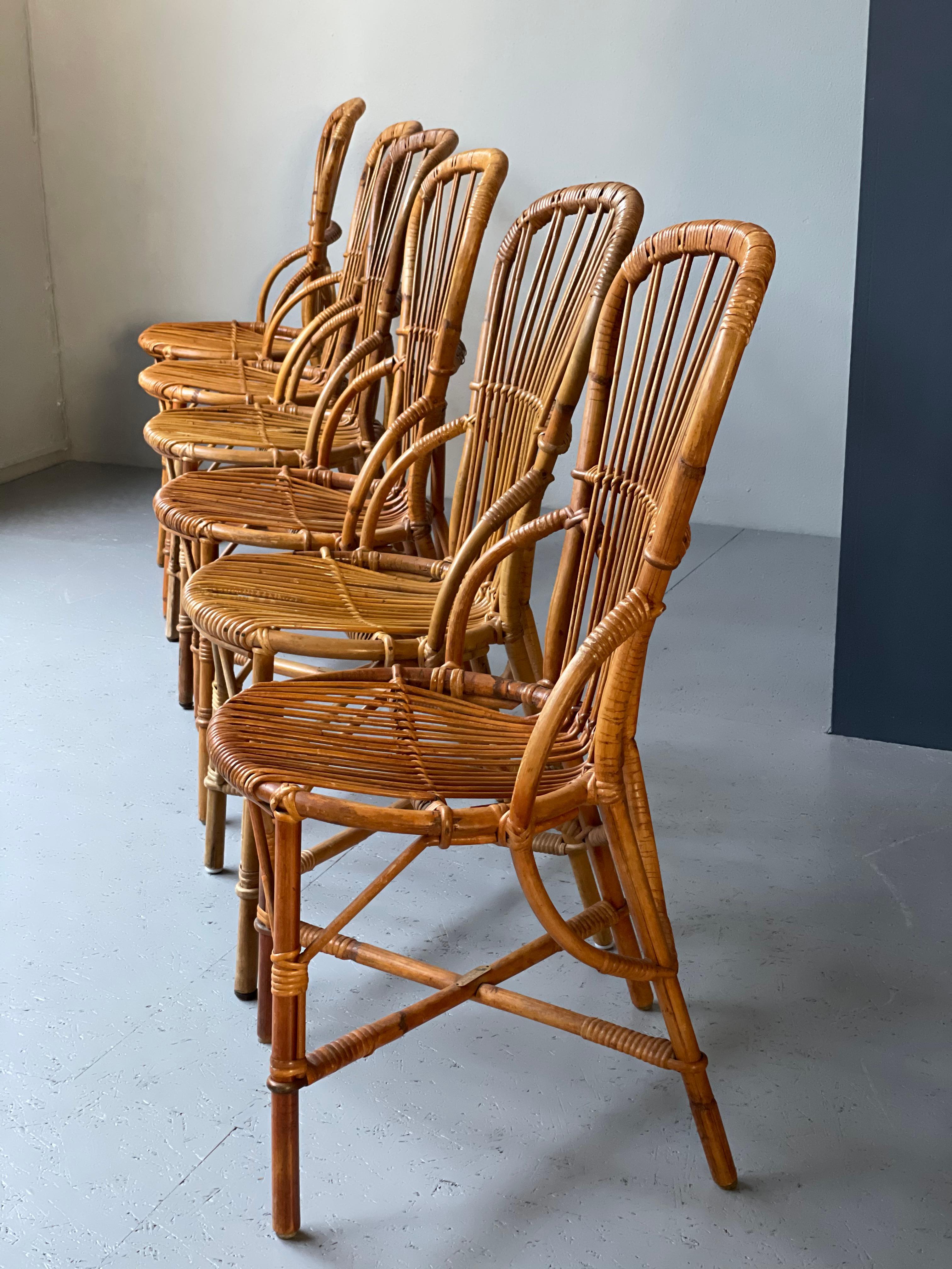 French Provincial 6 French Audoux & Minnet Rattan Armchairs, Mid Century, 1950`s