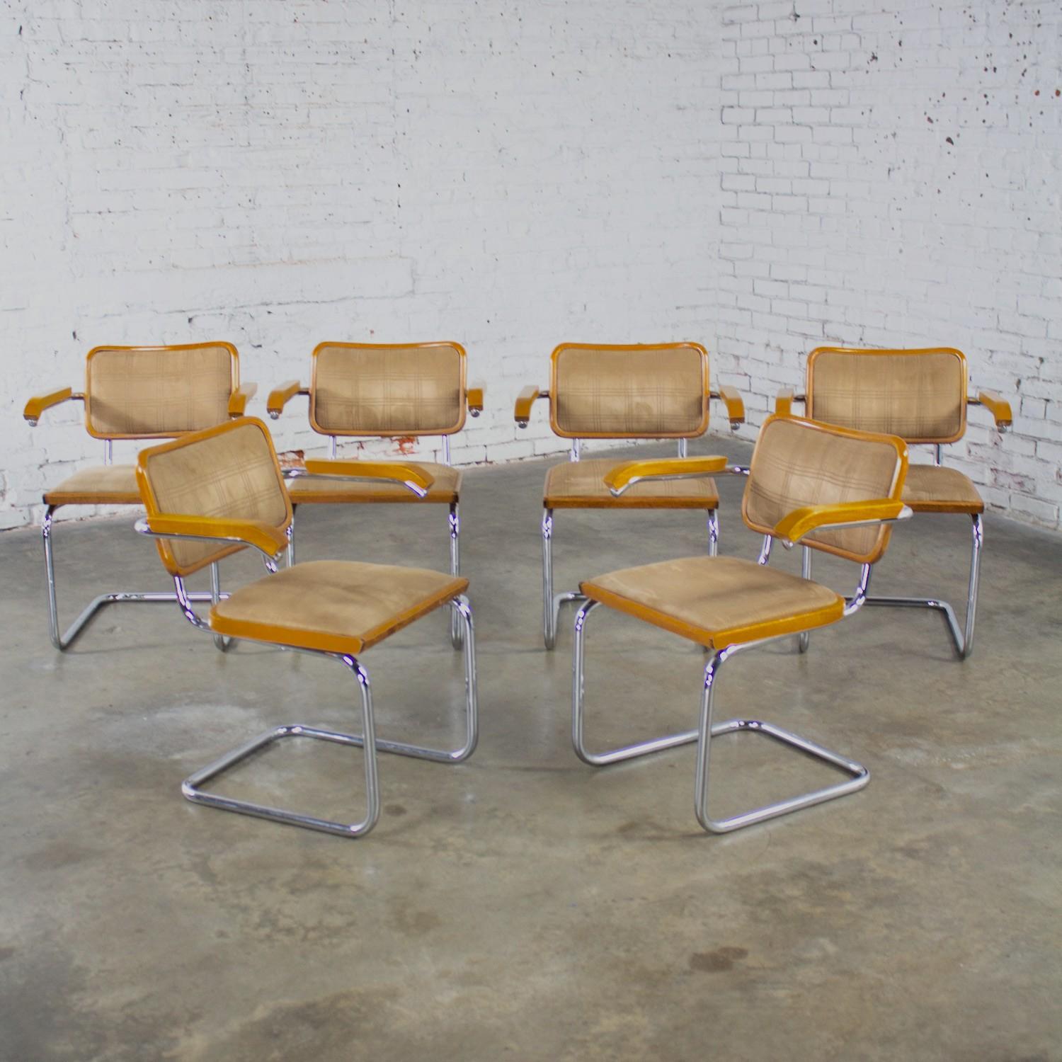 6 Bauhaus Cantilever Armchairs Made in Italy Style Marcel Breuer Cesca Chair For Sale 2