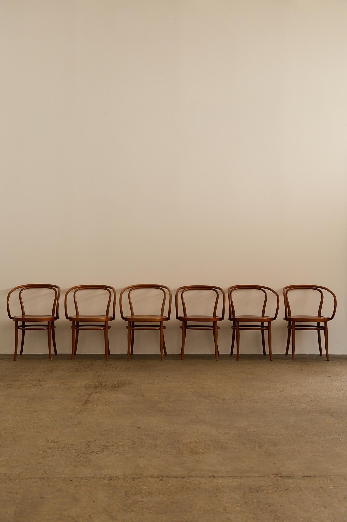 Sechser-Set Thonet Modell 209 Sessel Ikonische Bugholzsessel aus Buche, bekannt für ihre eleganten Kurven und ihr zeitloses Design. Das Modell 209 ist ein Klassiker, der ursprünglich von den Gebrüdern Thonet entworfen wurde. Es ist sowohl leicht als