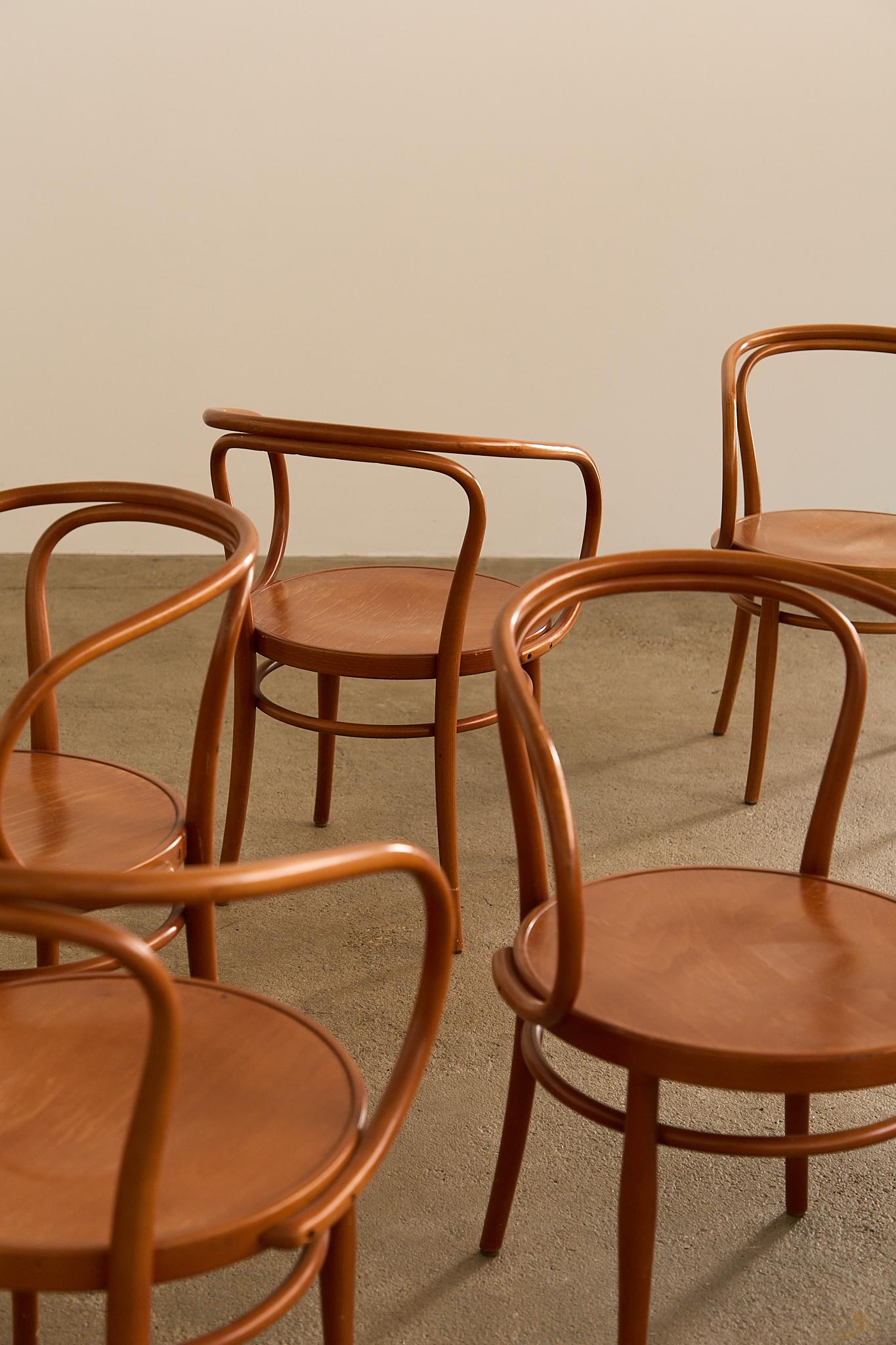 6 Bugholzstühle Mod 209 von Gebrüder Thonet (Wiener Secession) im Angebot