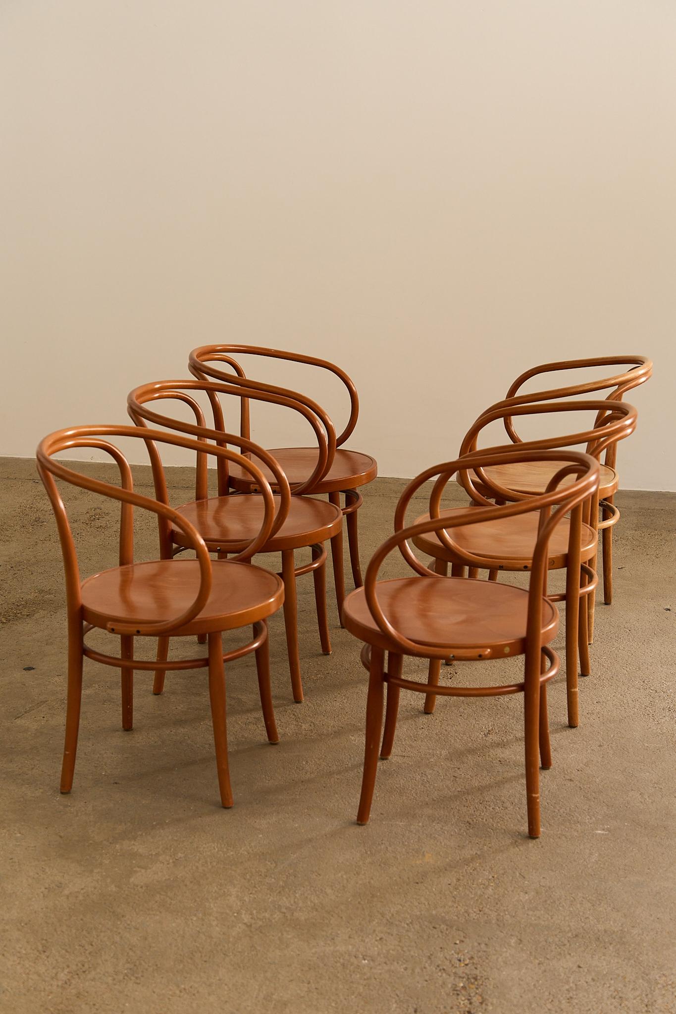 6 Bugholzstühle Mod 209 von Gebrüder Thonet (Italienisch) im Angebot