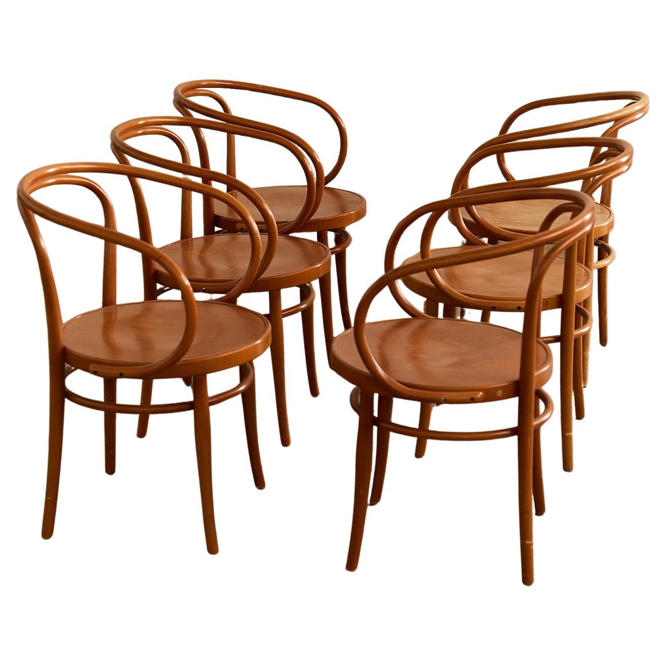 6 Bentwood Chairs Mod 209 by Gebrüder Thonet