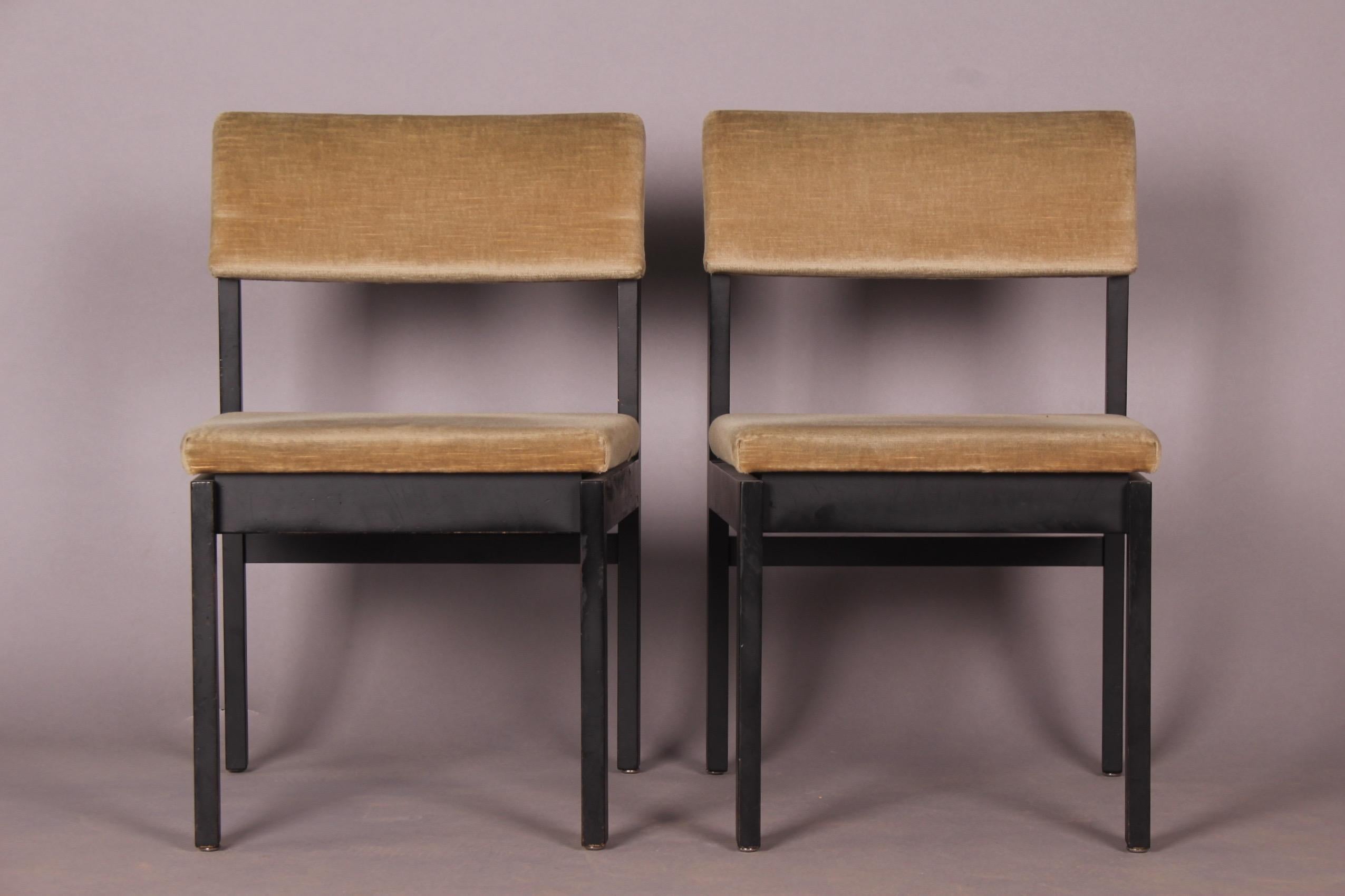 Mid-20th Century 6 Chairs 3100 by Willy Guhl for Dietiker, 1959
