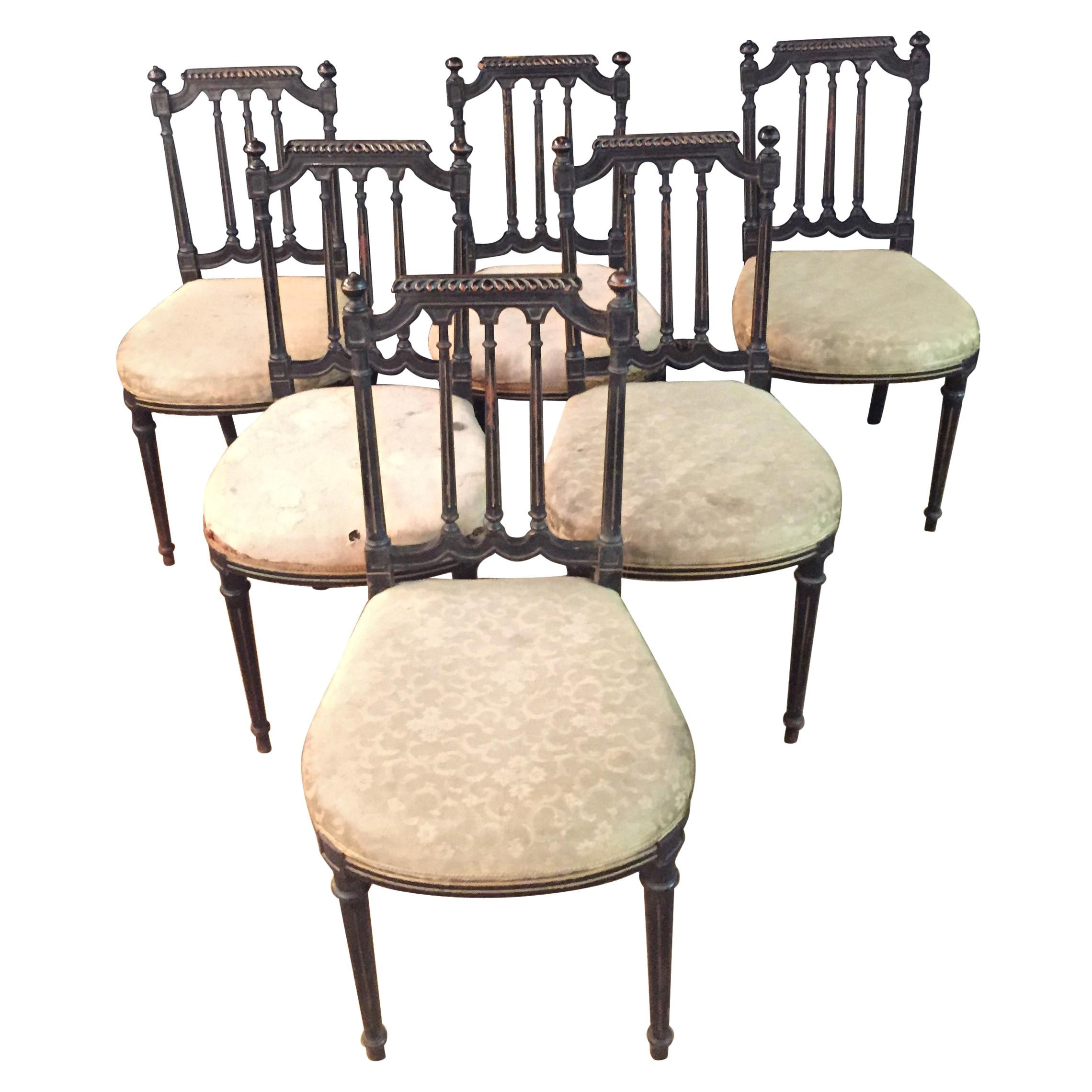 6 Chairs in Louis Seize Stil Black Ebonized