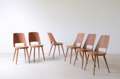 6 chairs set 6 with curved wooden seat by Baumann manufacture