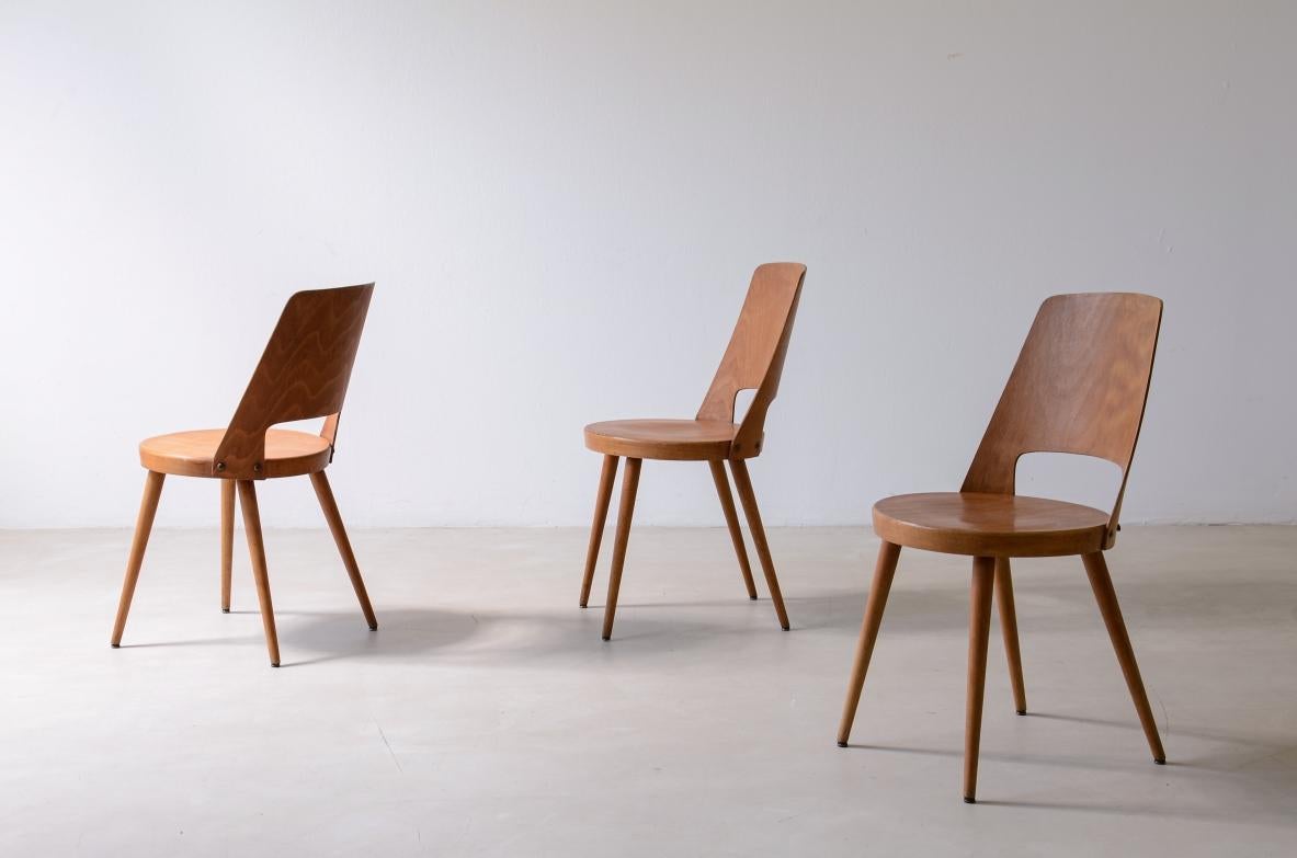 6 Stühle Set 6 mit geschwungenem Holzsitz von Baumann manufacture (Moderne der Mitte des Jahrhunderts) im Angebot