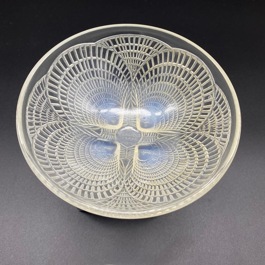 6 Coquilles Glass Bowls by R.Lalique  For Sale 3