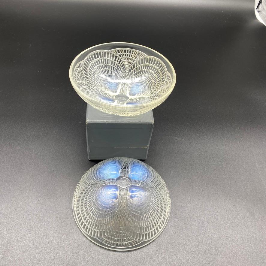 6 Coquilles Glass Bowls by R.Lalique 1