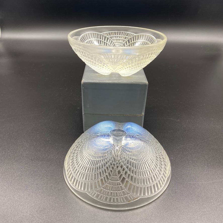 6 Coquilles Glass Bowls by R.Lalique  For Sale 2