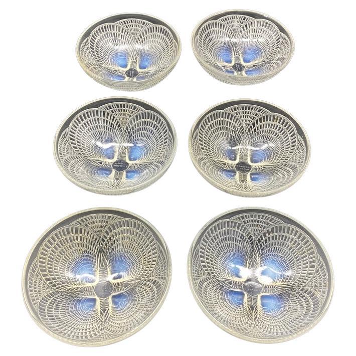 6 Coquilles Glass Bowls by R.Lalique  For Sale